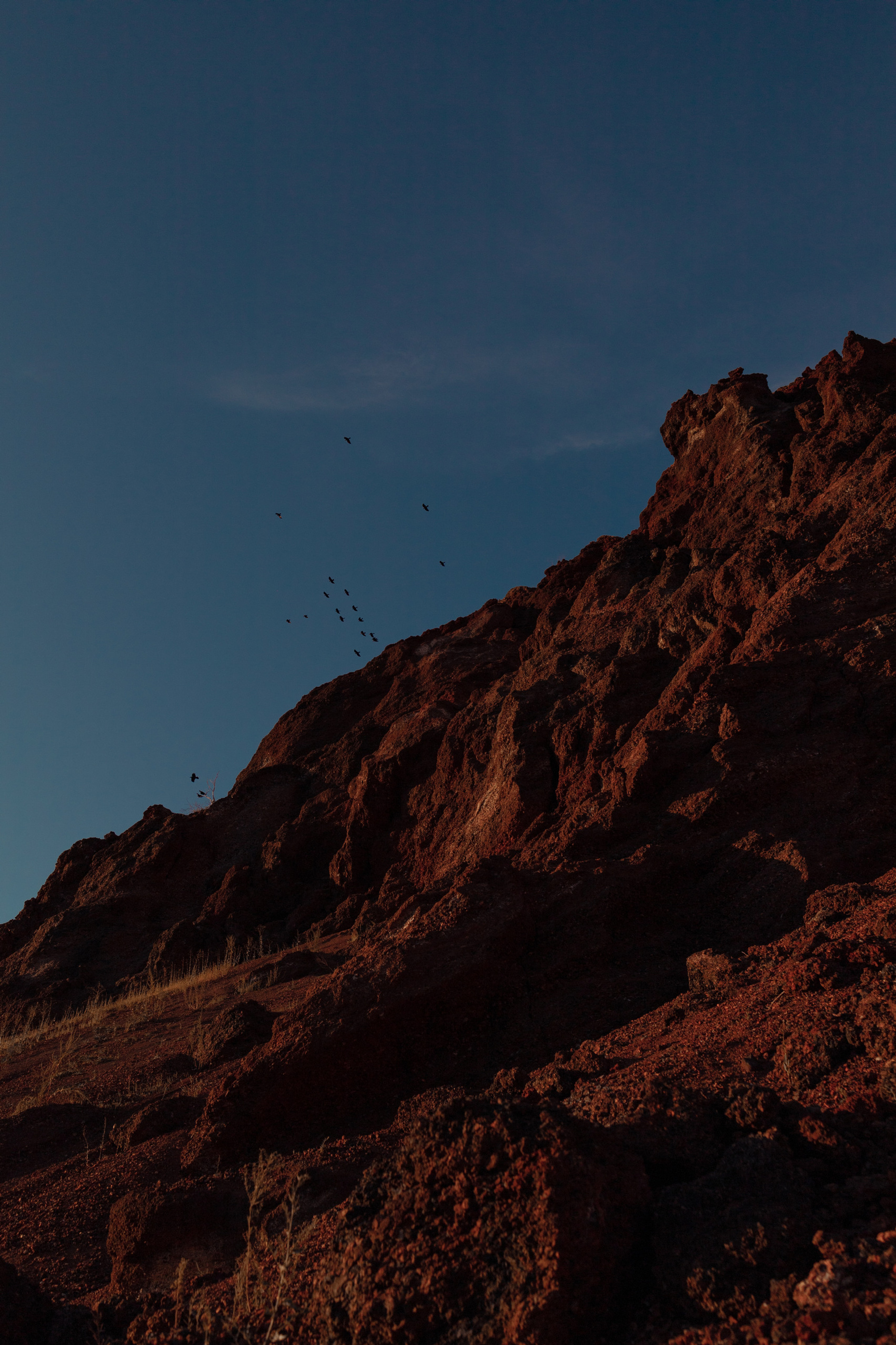 Martian. Ларионова Виталина. Фотограф и видеограф в Санкт-Петербурге