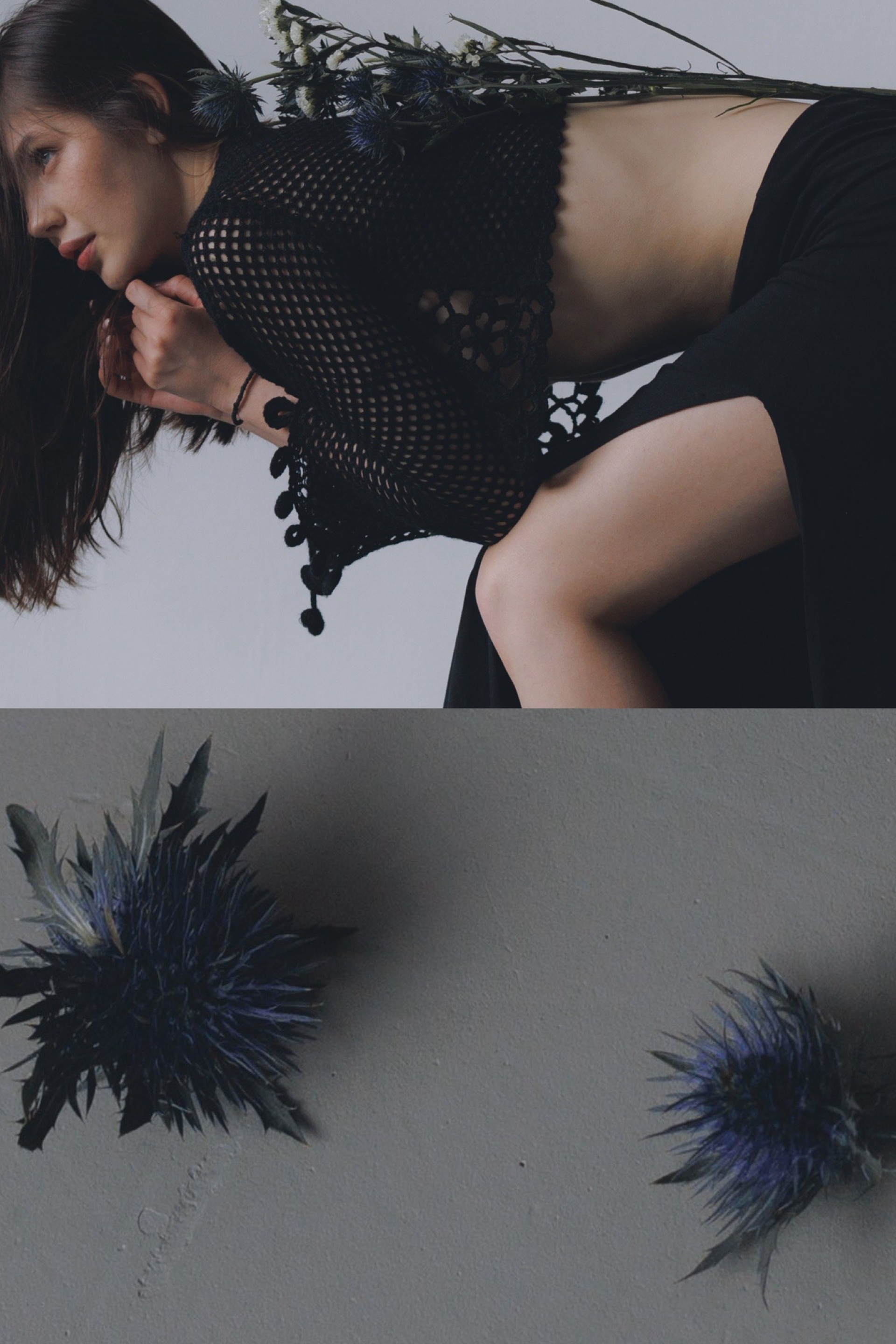 Blue Erýngium. Ларионова Виталина. Фотограф и видеограф в Санкт-Петербурге