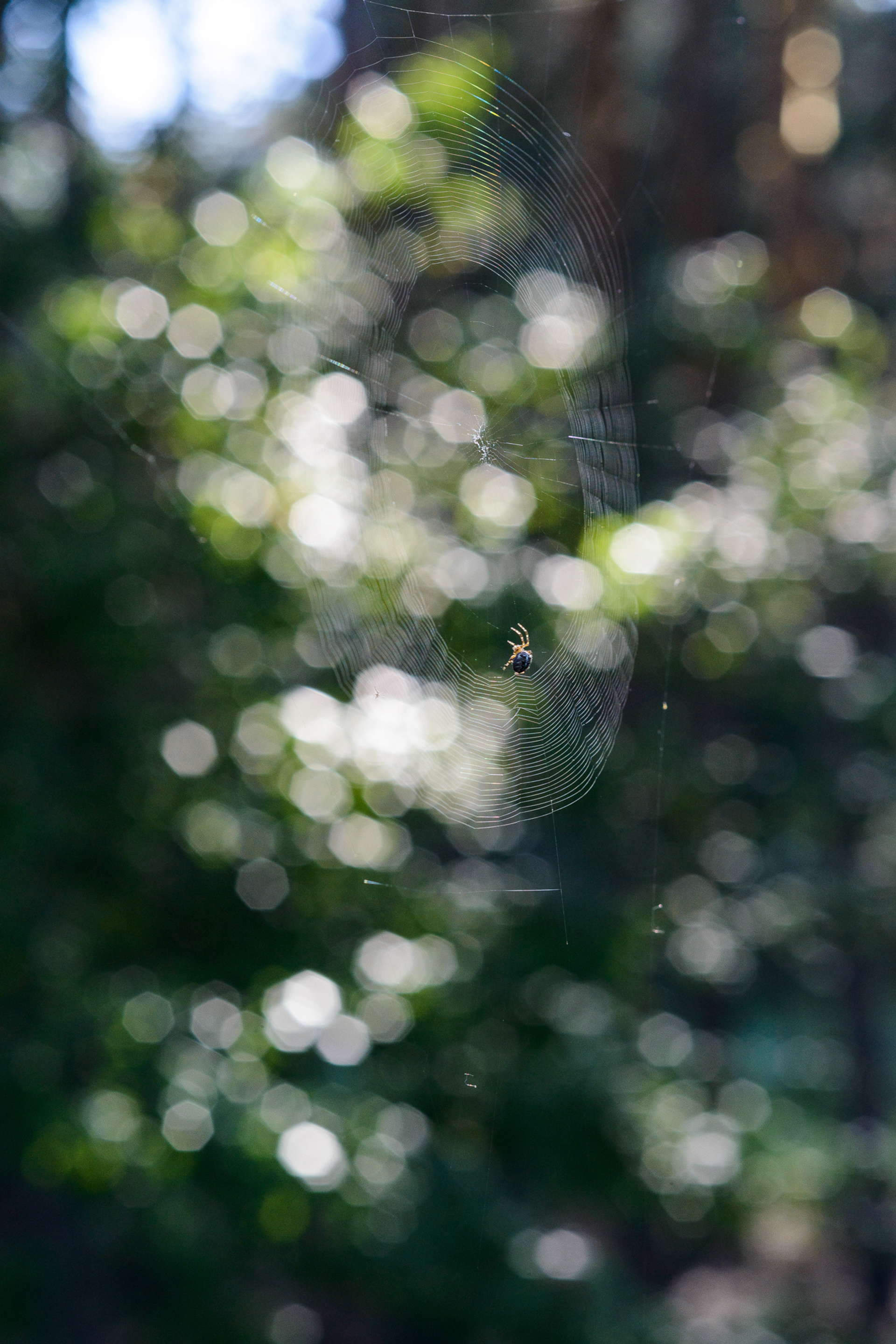 Среда. Photographer Aleksandr Churakaev