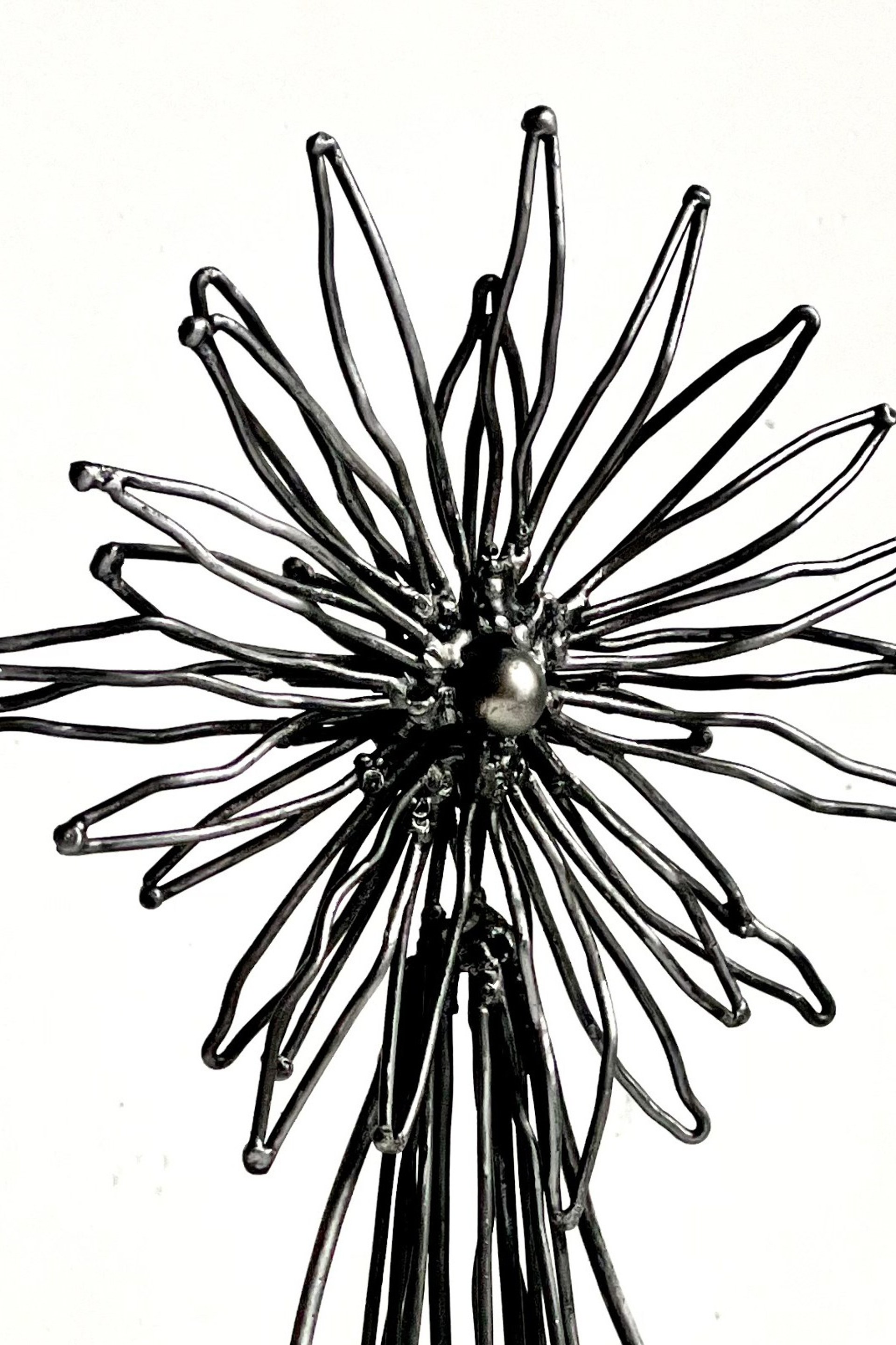 девочка-цветочек (астра) / flower girl (aster)_ 2024