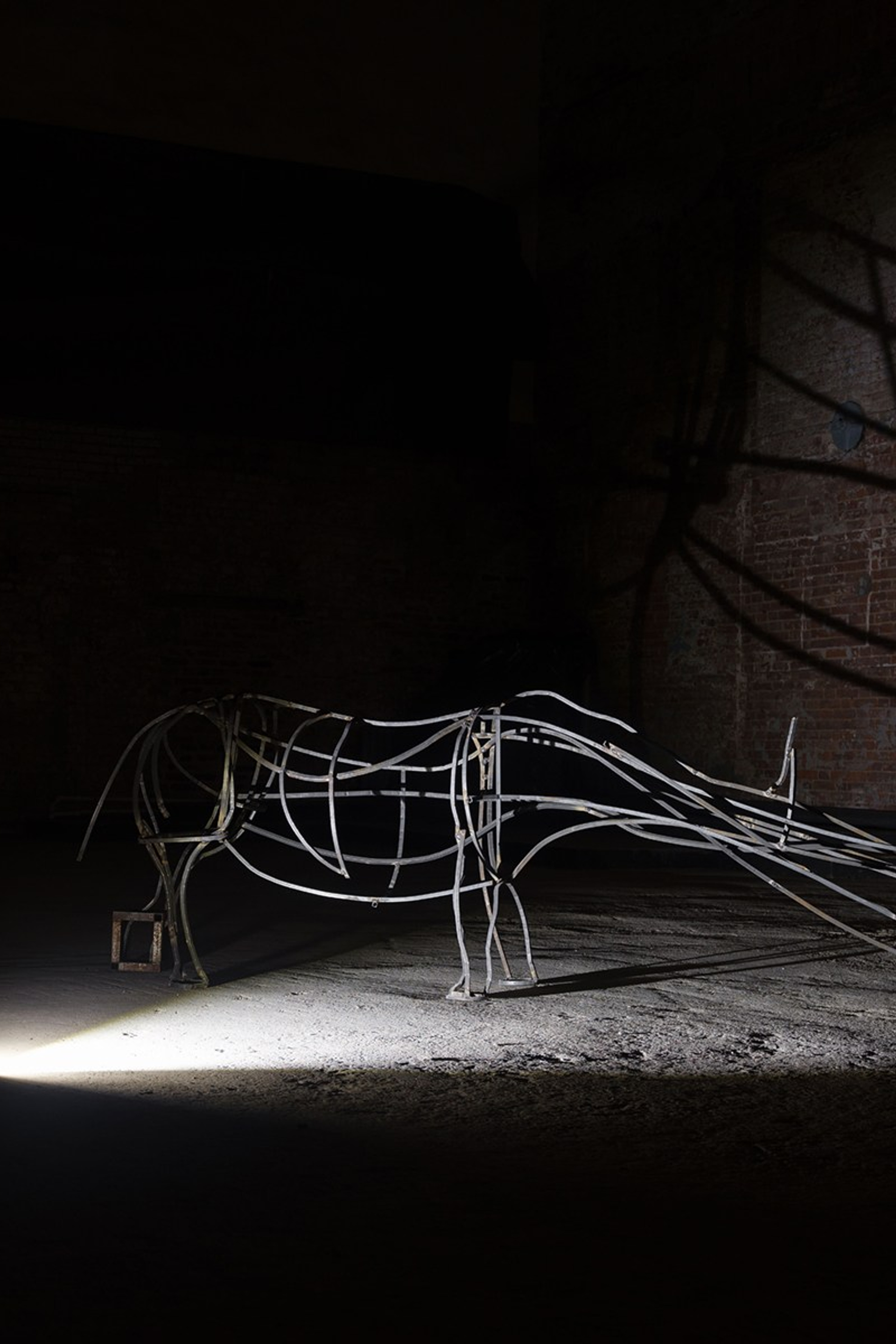 носорог / rhinoceros