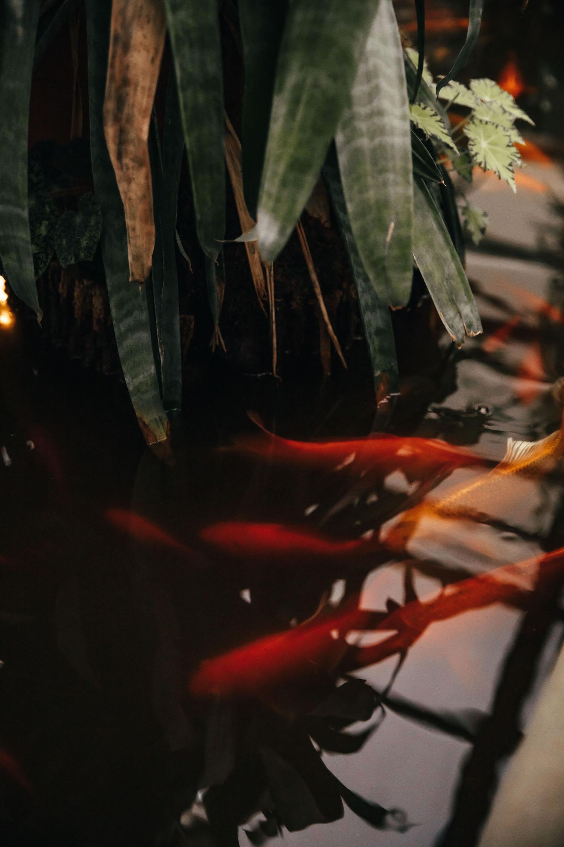 ПЕЧАТЬ В ИНТЕРЬЕР