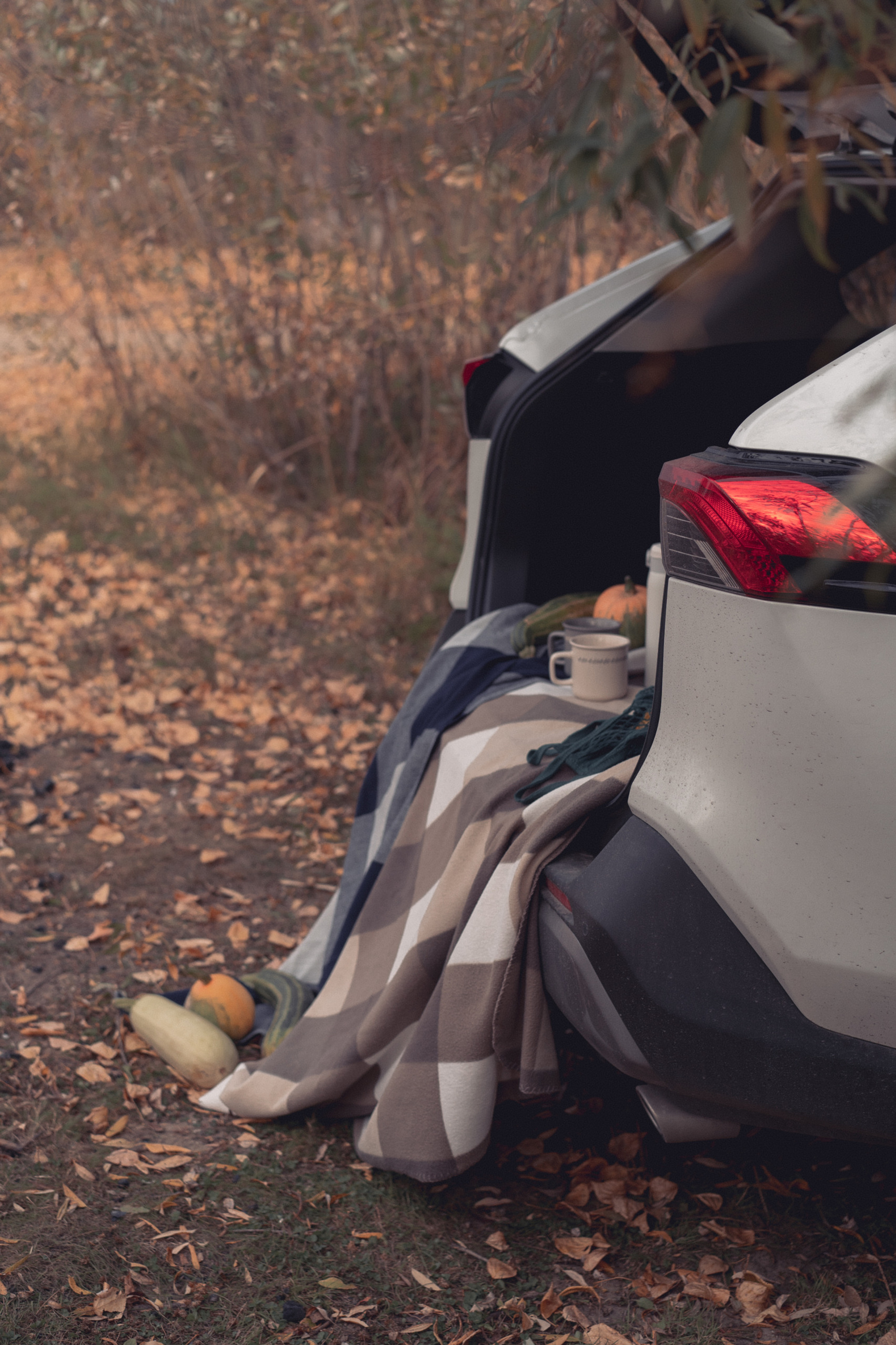 Отзывы. Рыжкова Елена — контент фотограф Москва Тюмень. Стилизация съемки