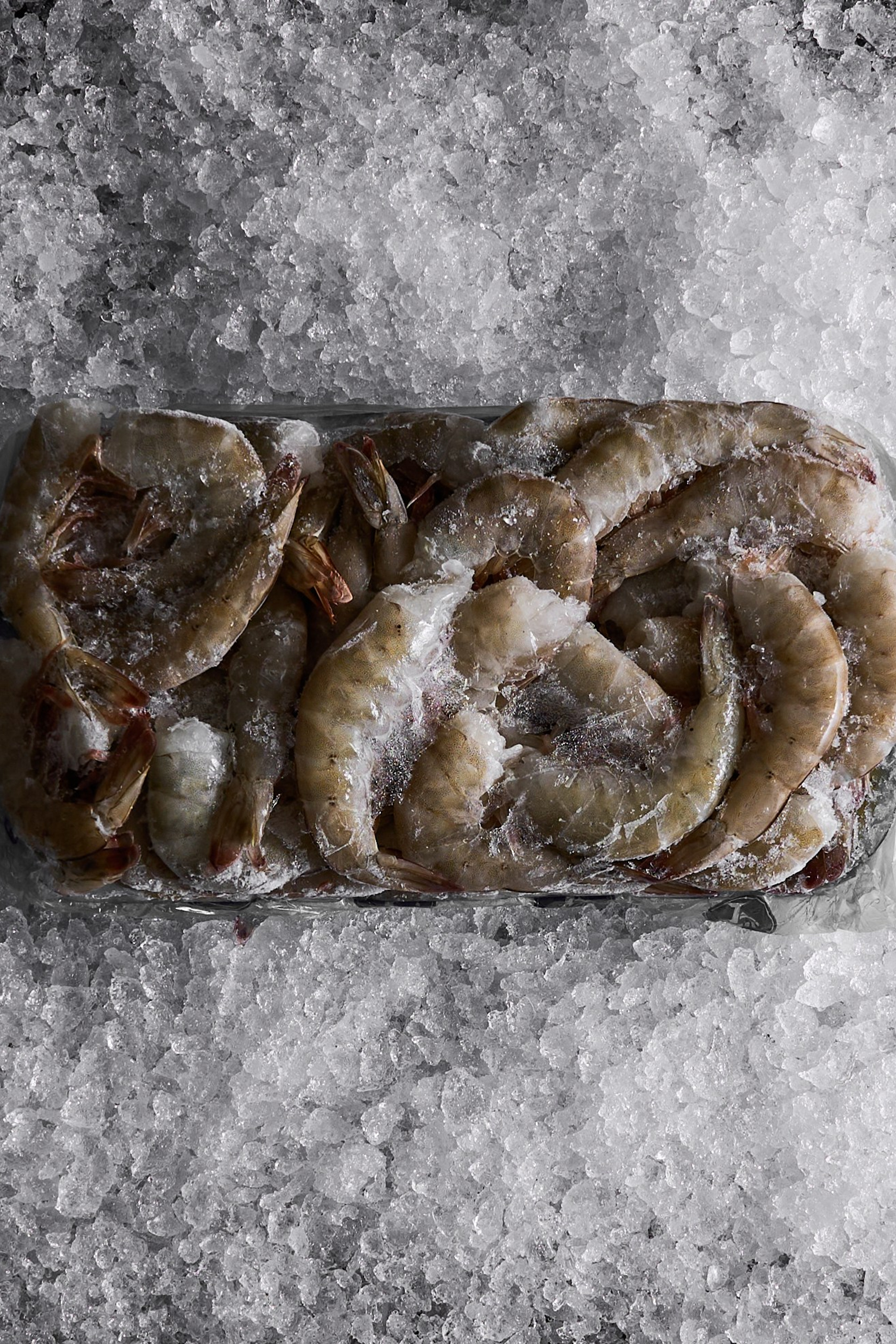 Русская Рыбная Компания (РРК) — каталог продукции. Фотограф для брендов, моделей и частных клиентов в Москве