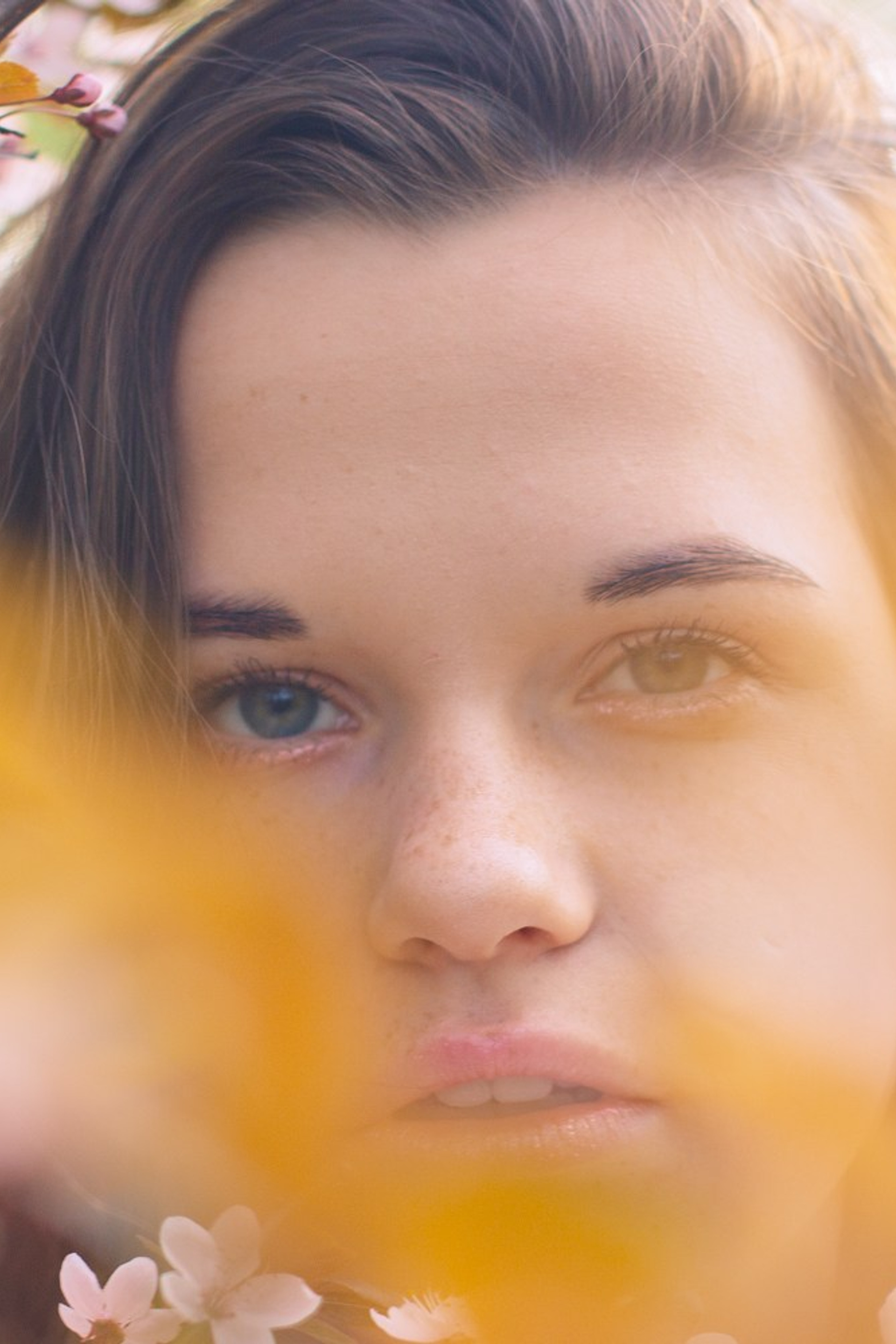 Весений Оброз