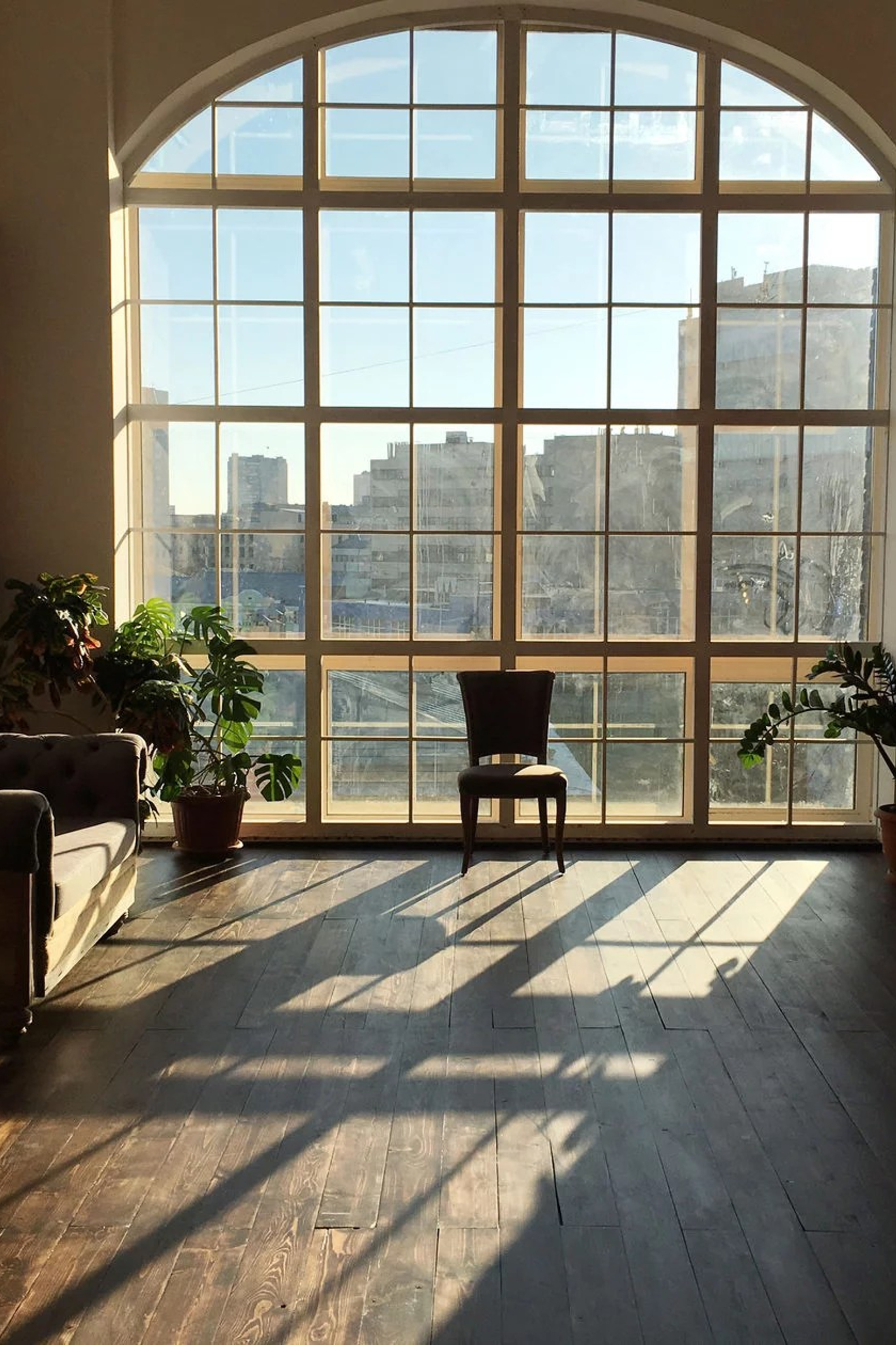 м. Электрозаводская Ботаника