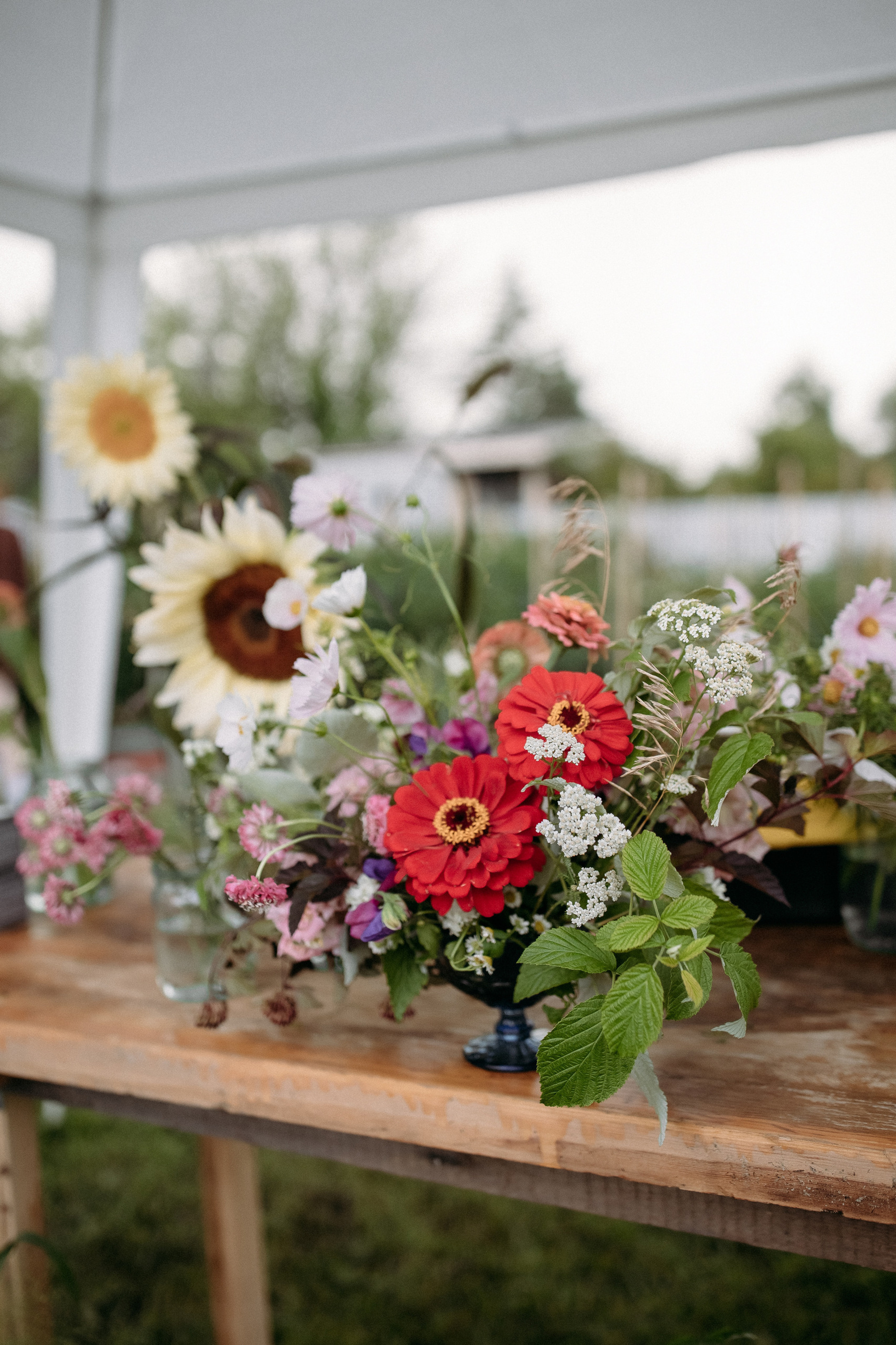 Reviews. Свадебный и семейный фотограф Сасина Элина г.Хабаровск