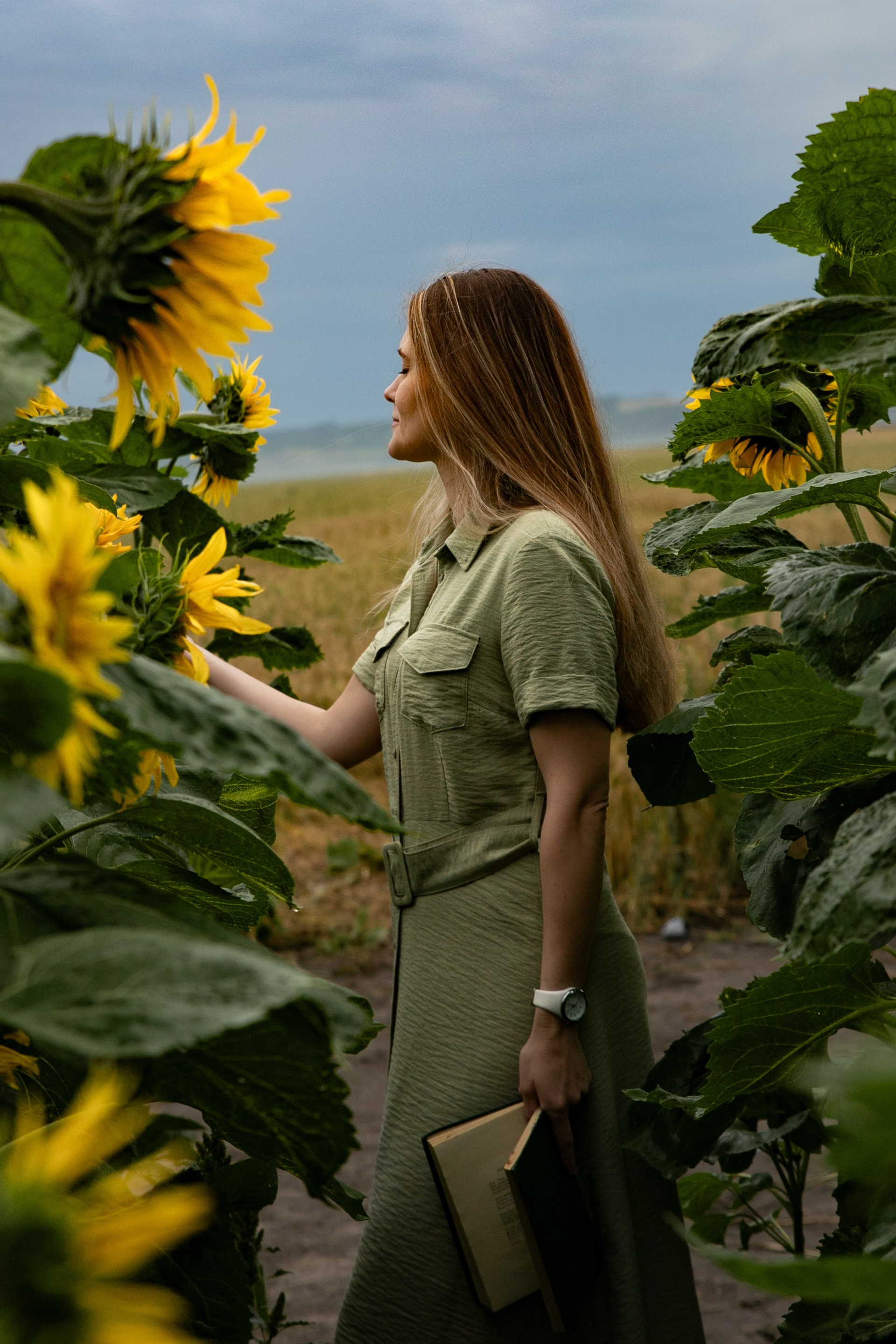 Фотосет в&nbsp;подсолнухах. Нина.