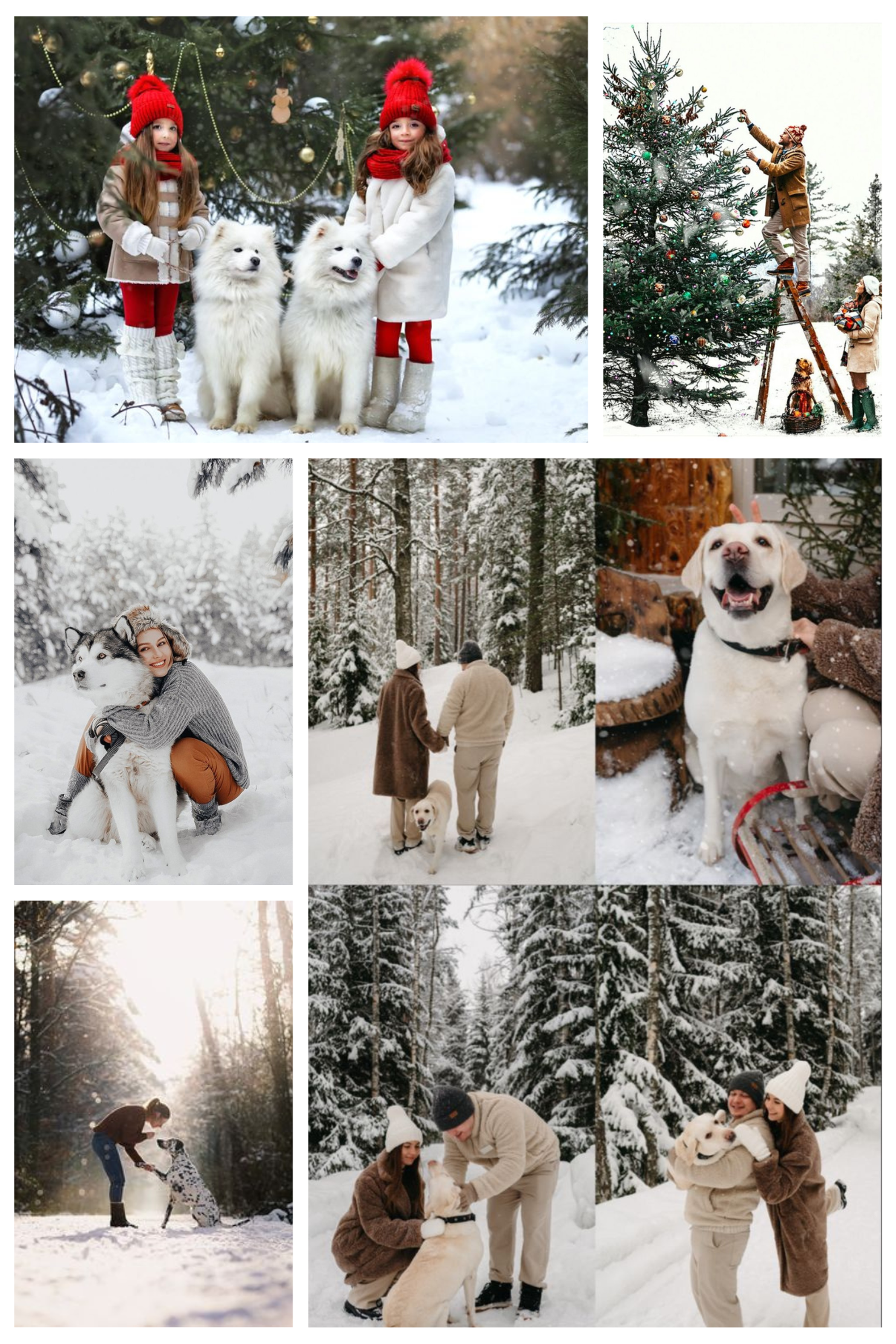 Истории. Семейный и свадебный фотограф в Минске Юлия Грин