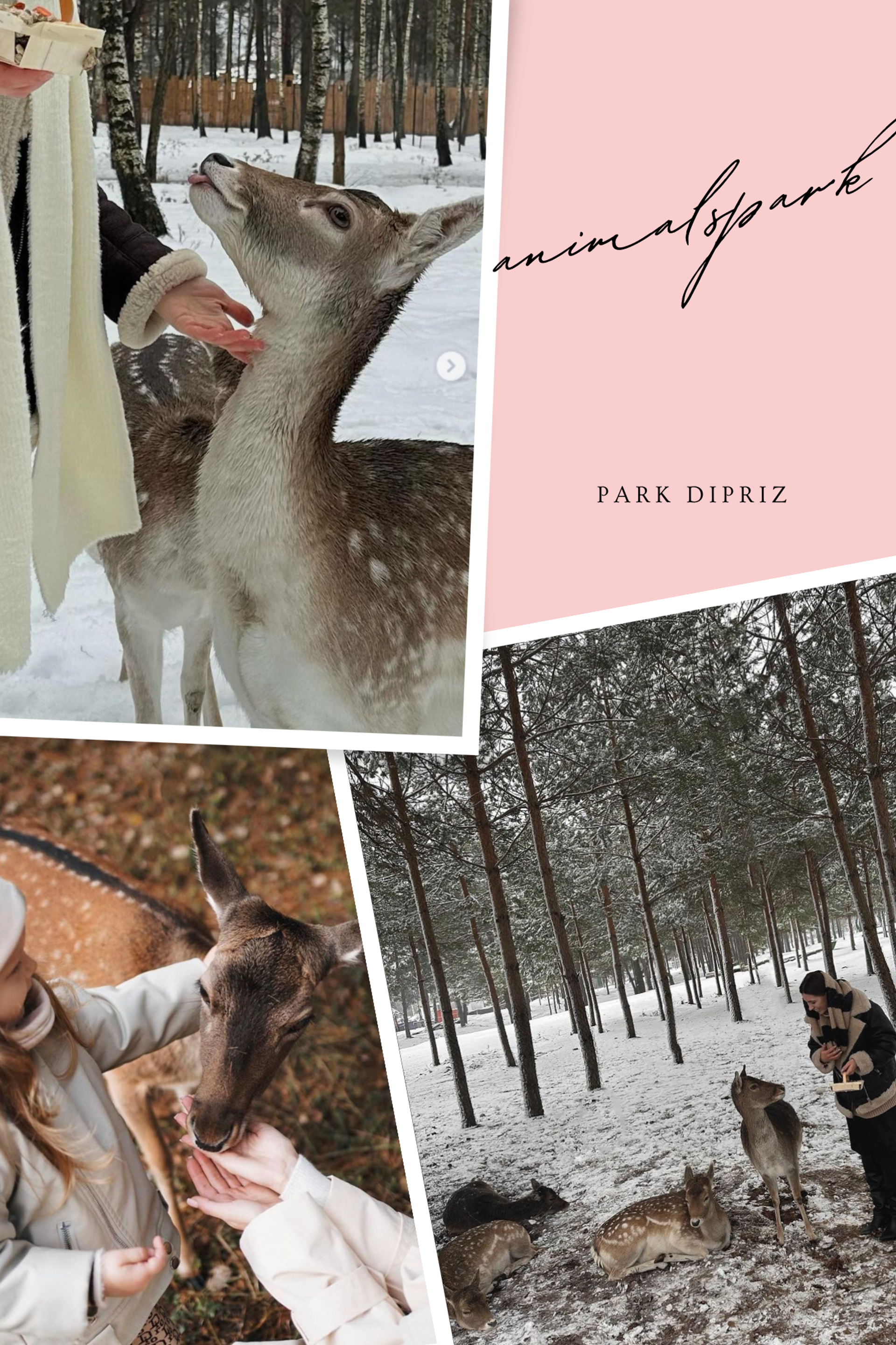 Истории. Семейный и свадебный фотограф в Минске Юлия Грин