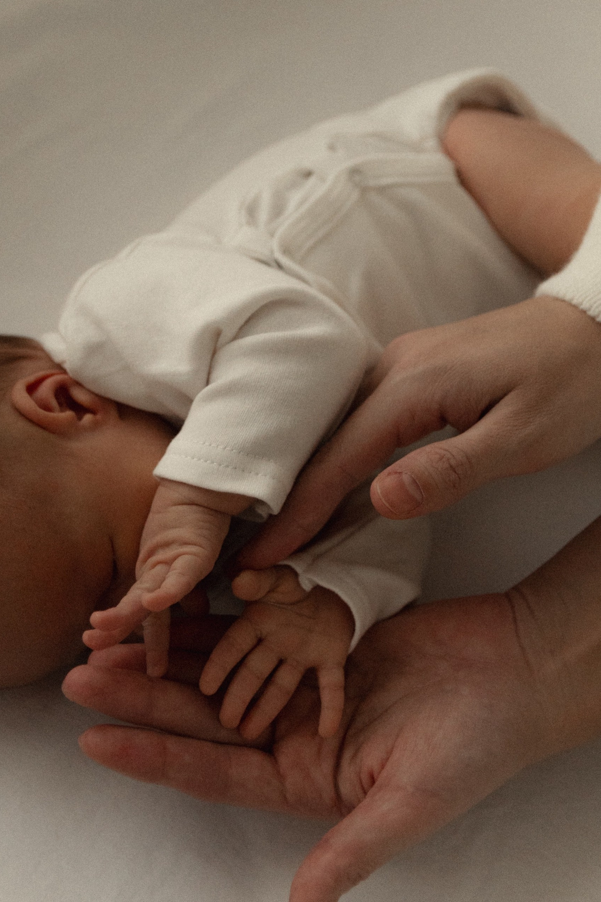 Anna Shardakova Photography