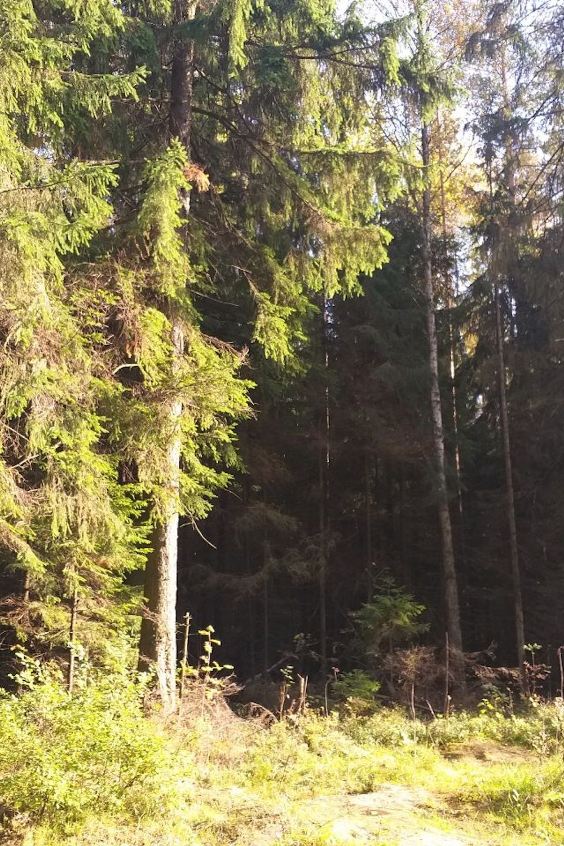 Этот день запомнится надолго (2). Ы