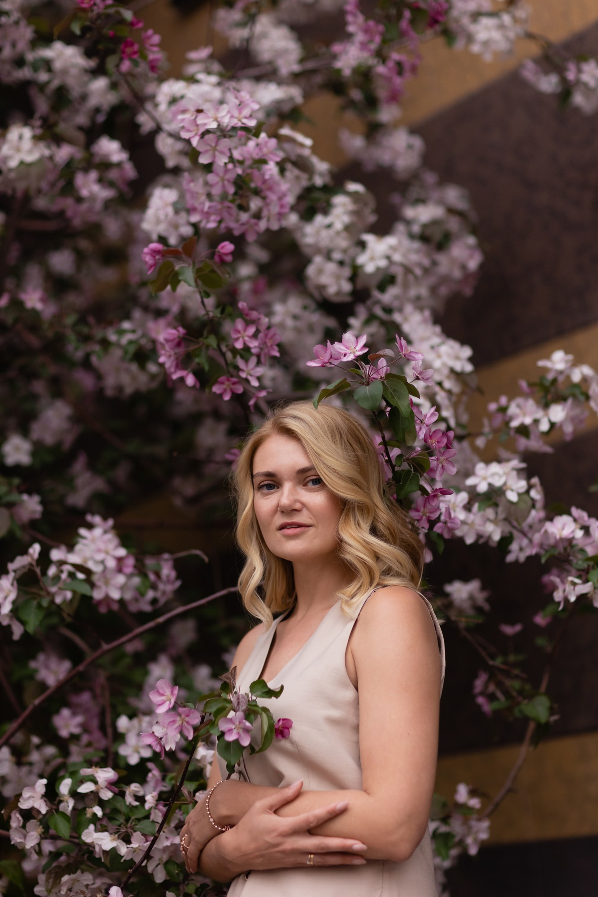 Цветущие яблони в&nbsp;городе&nbsp;Н.