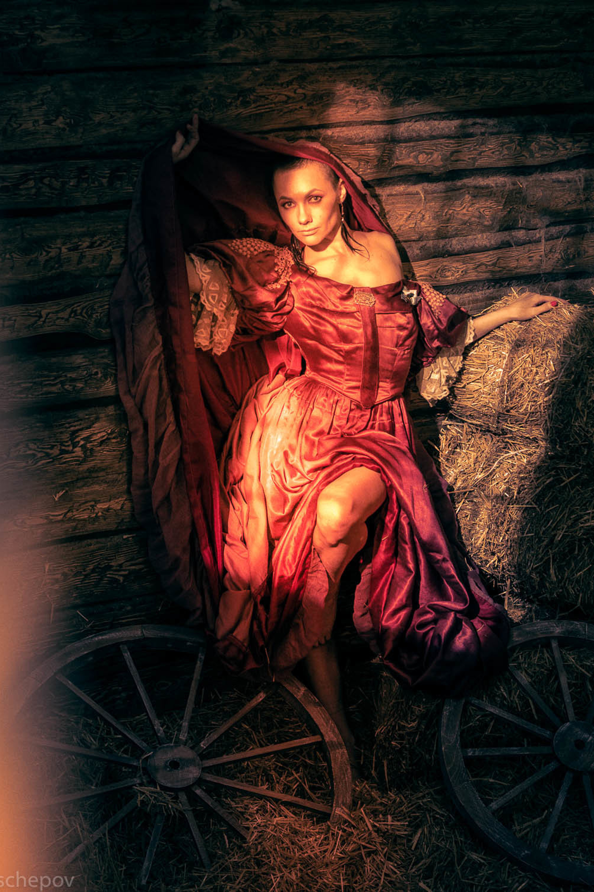 Возрождение Чайки