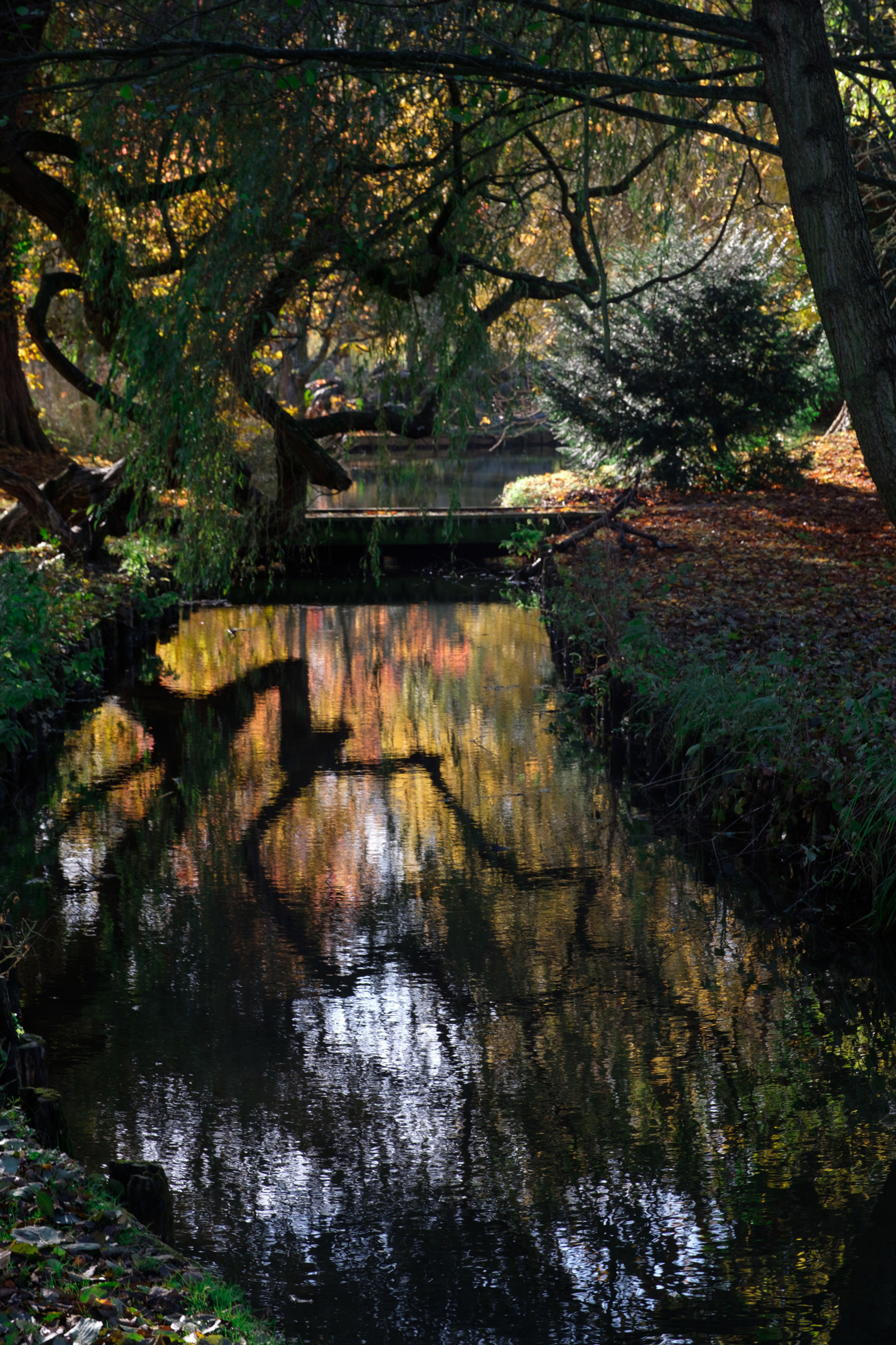 Путешествия