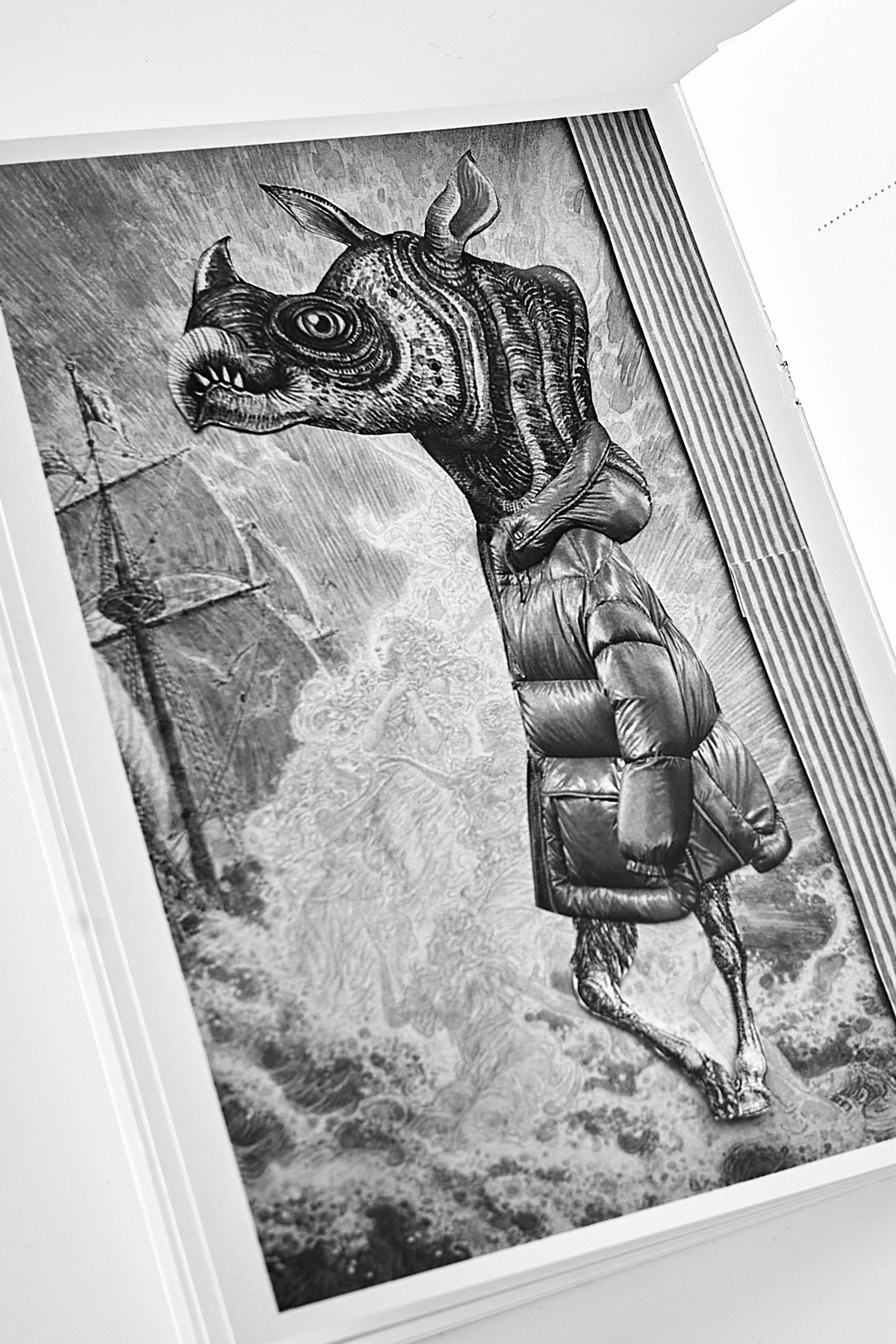 Guide to the Magical Forest