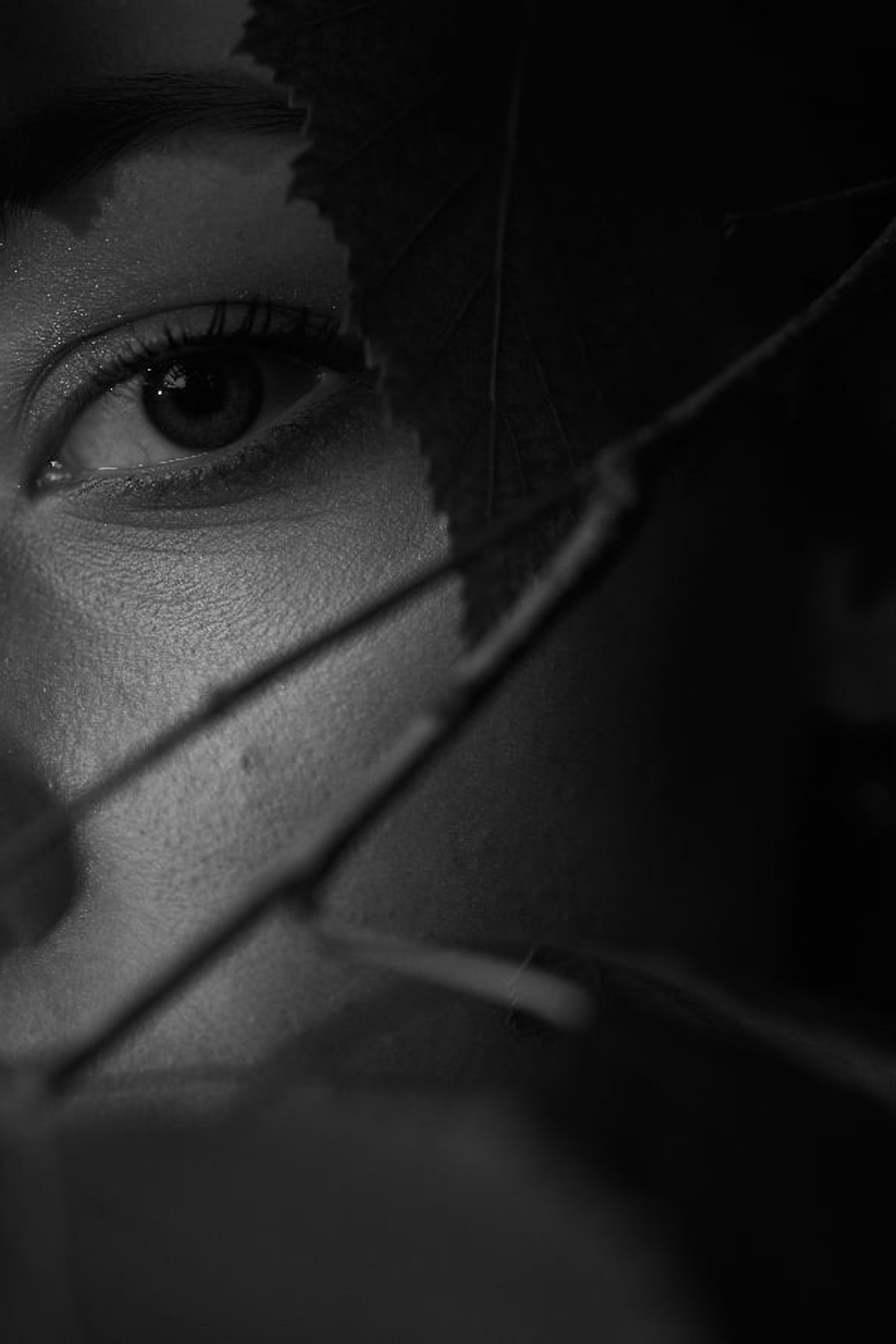 Отзывы — Фотограф в Москве и Московской области Максим Дьяконов. Профессиональный фотограф в Москве — Максим Дьяконов