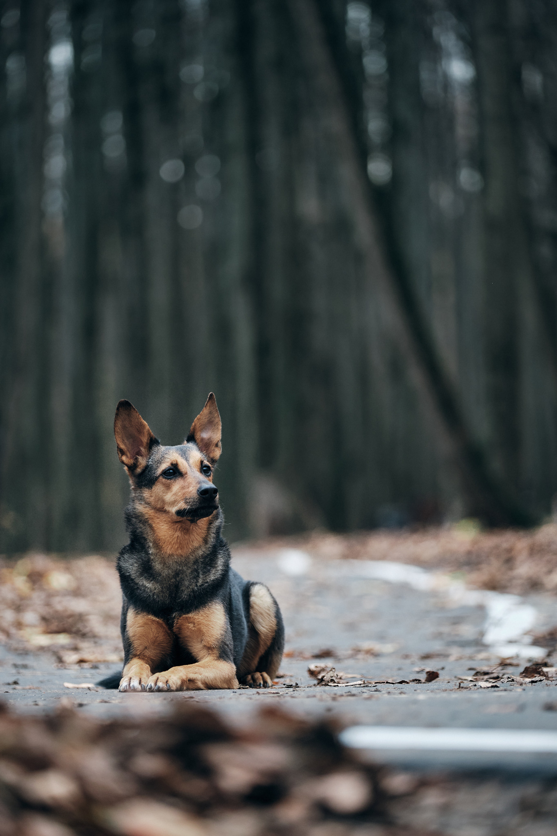 Отзывы — Фотограф в Москве и Московской области Максим Дьяконов. Профессиональный фотограф в Москве — Максим Дьяконов