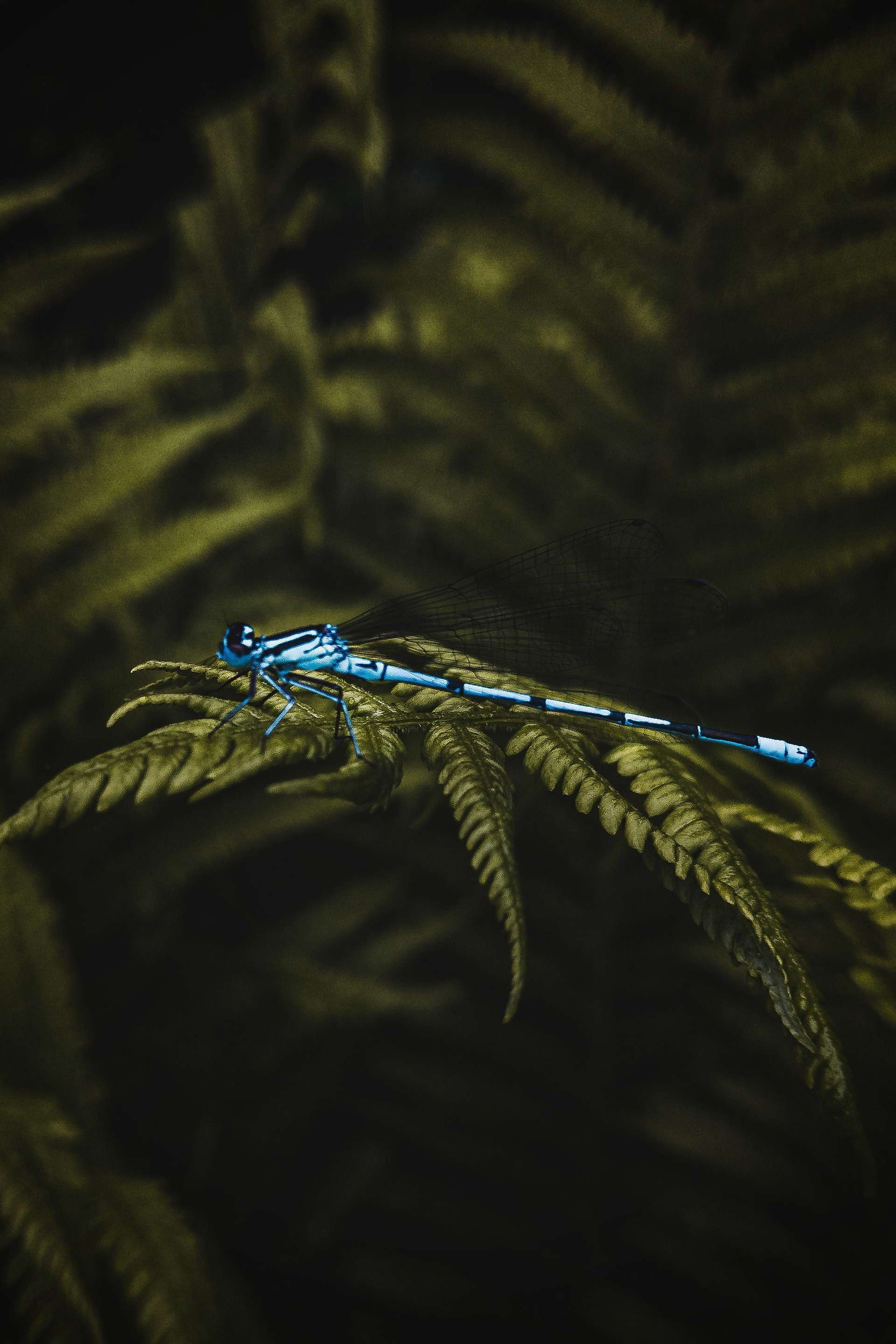 Блог. Саватейкин Ярослав | Портретный фотограф в Москве