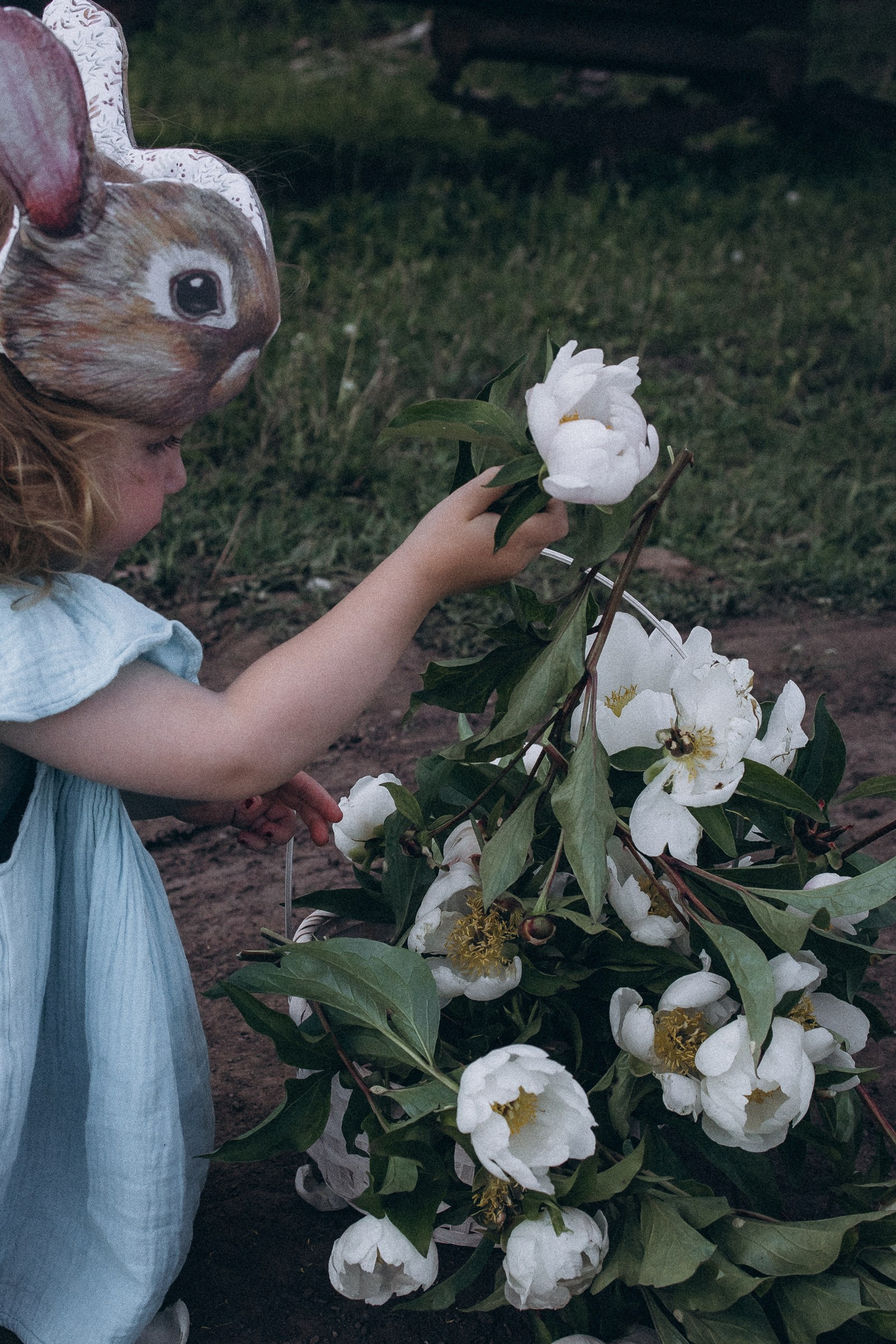 Анонс 🌸. Life style фотограф Молчанова Любовь
