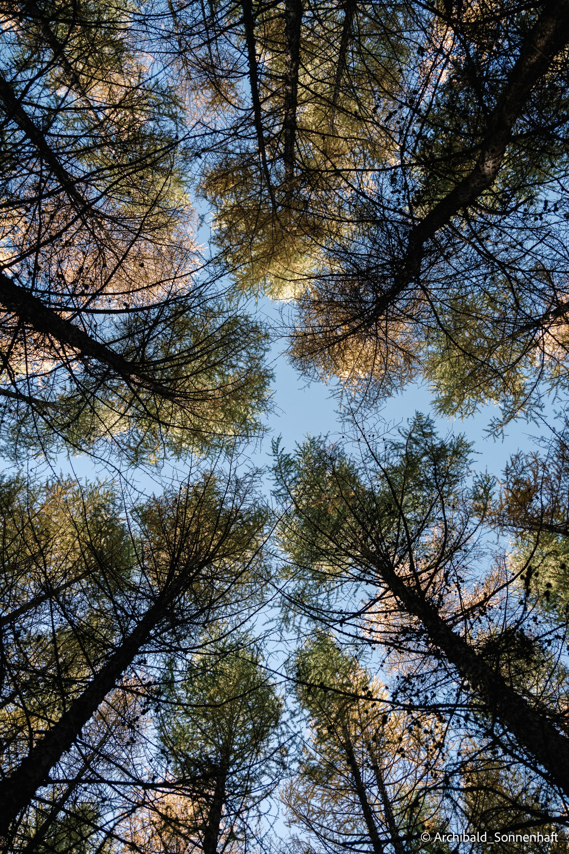 My blog, YO. Photographer in Guangzhou, China. Archibald Sonnenhaft