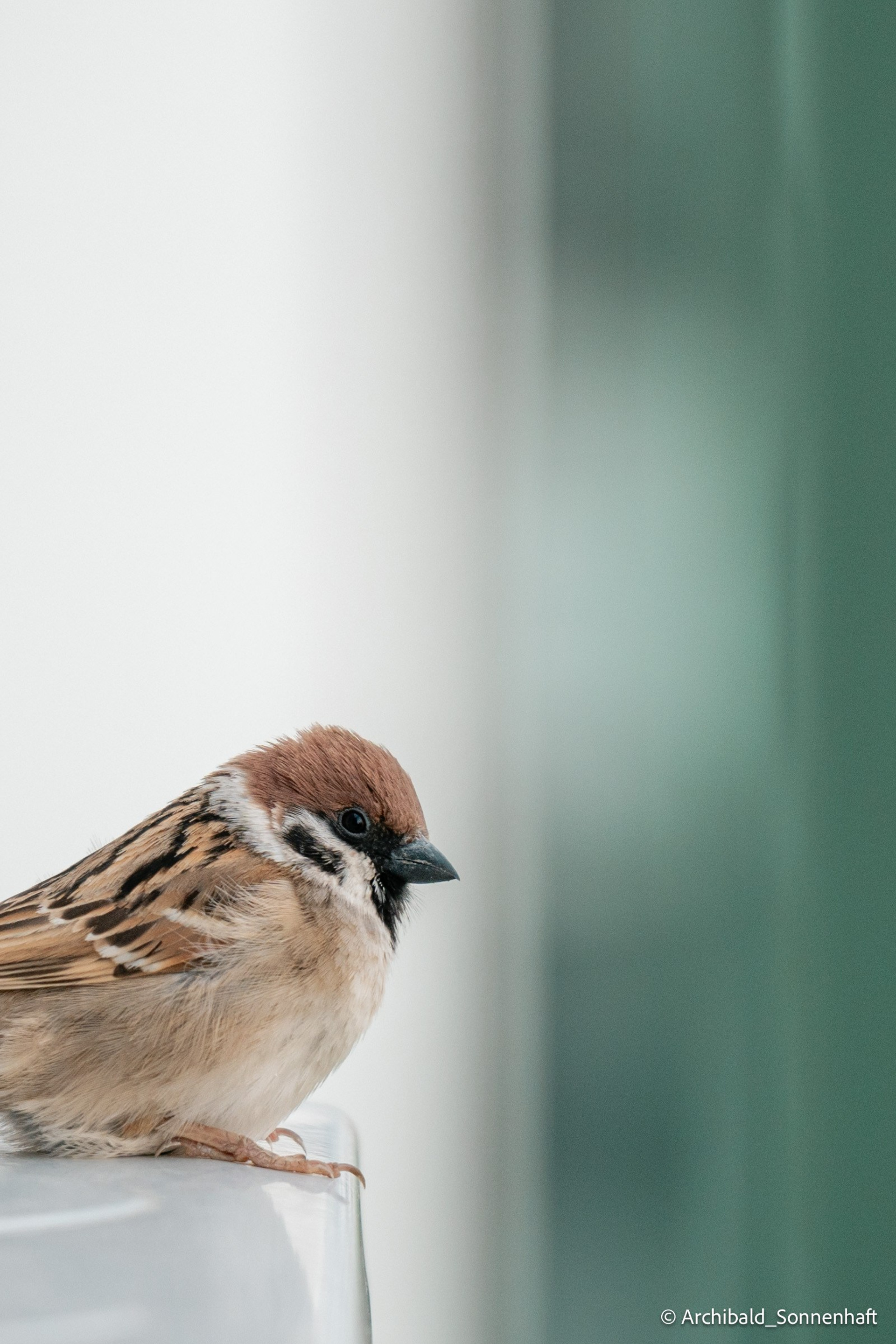 My blog, YO. Photographer in Guangzhou, China. Archibald Sonnenhaft