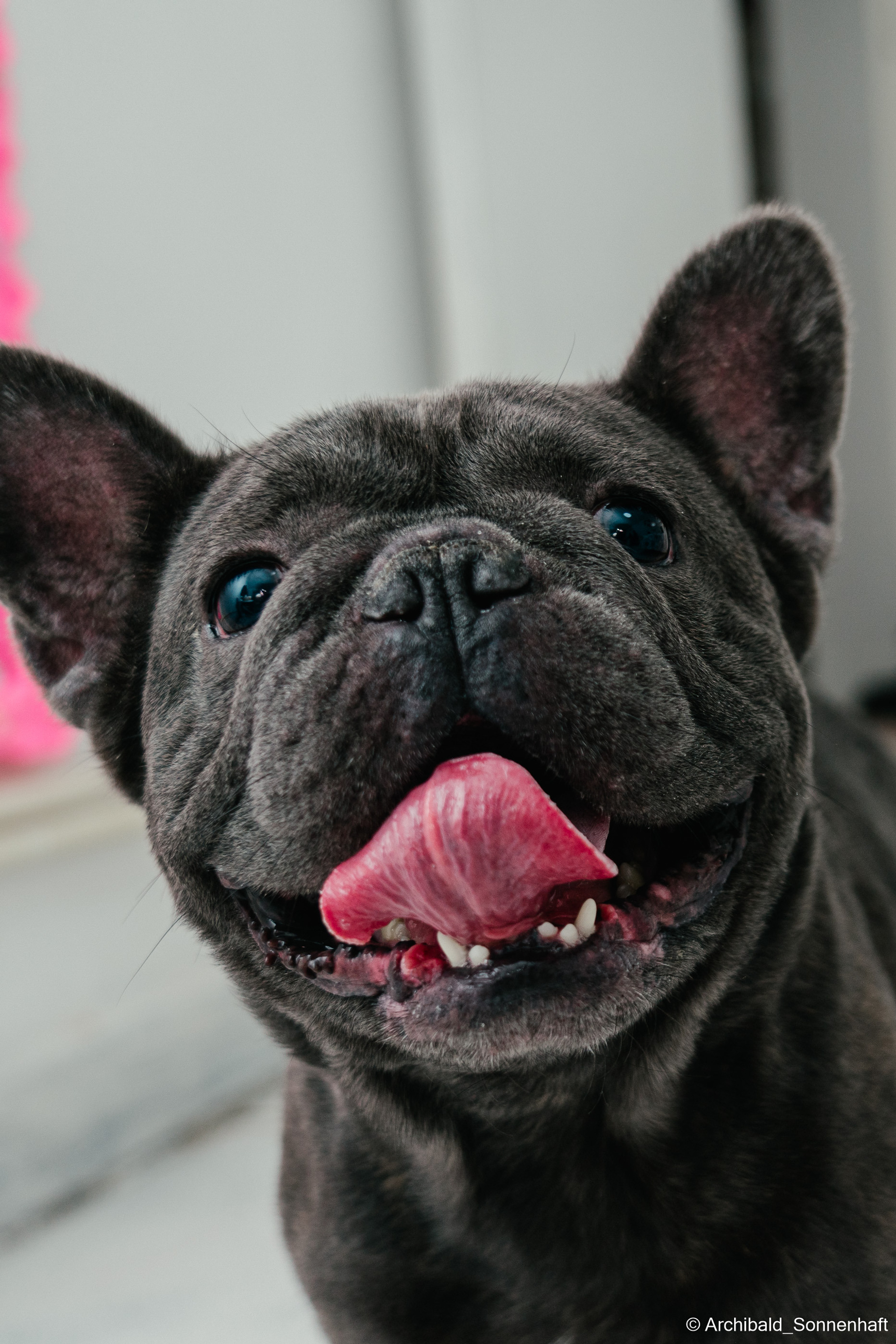 My blog, YO. Photographer in Guangzhou, China. Archibald Sonnenhaft