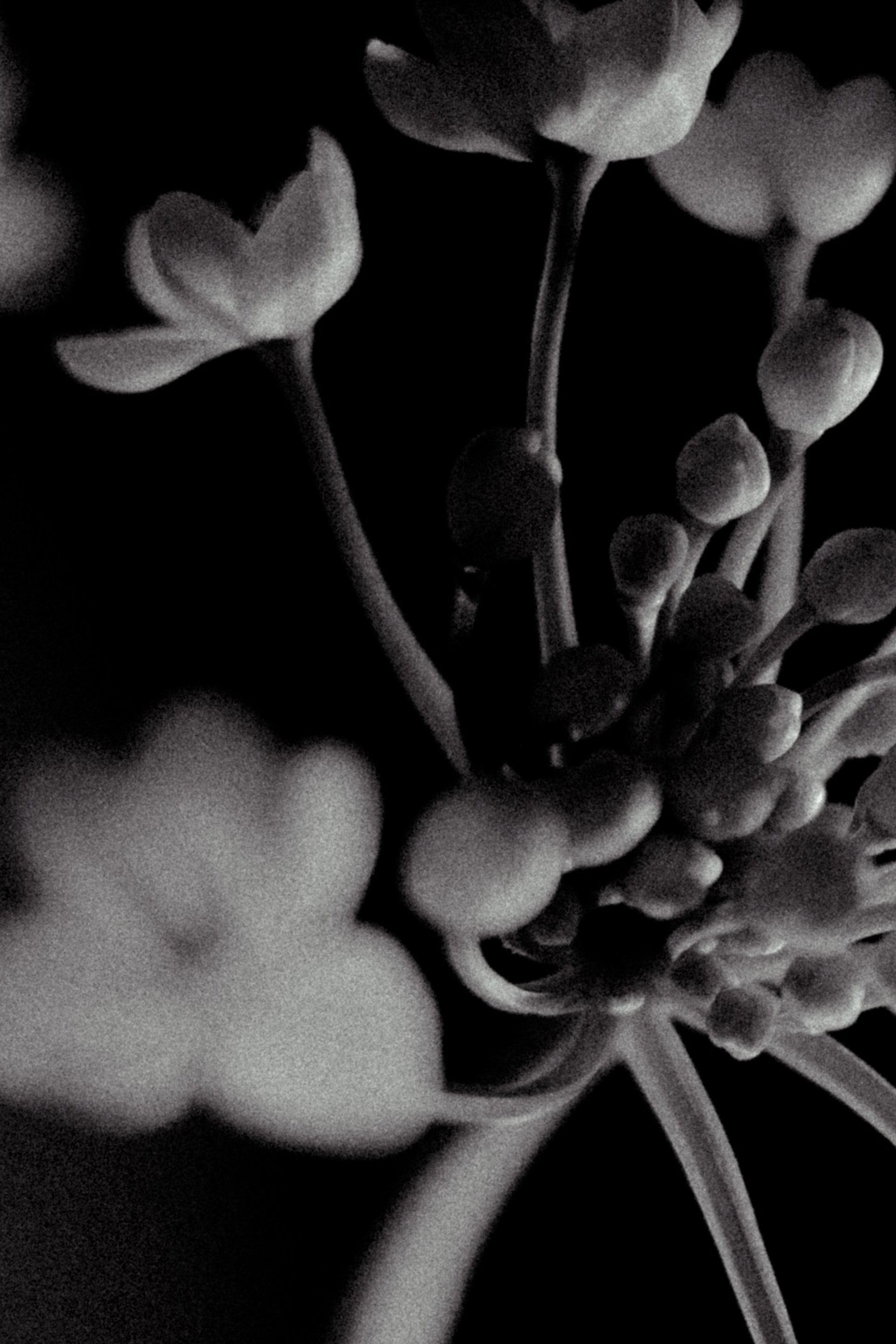 Галерея. Портретный фотограф в Ярославле София Фоменко