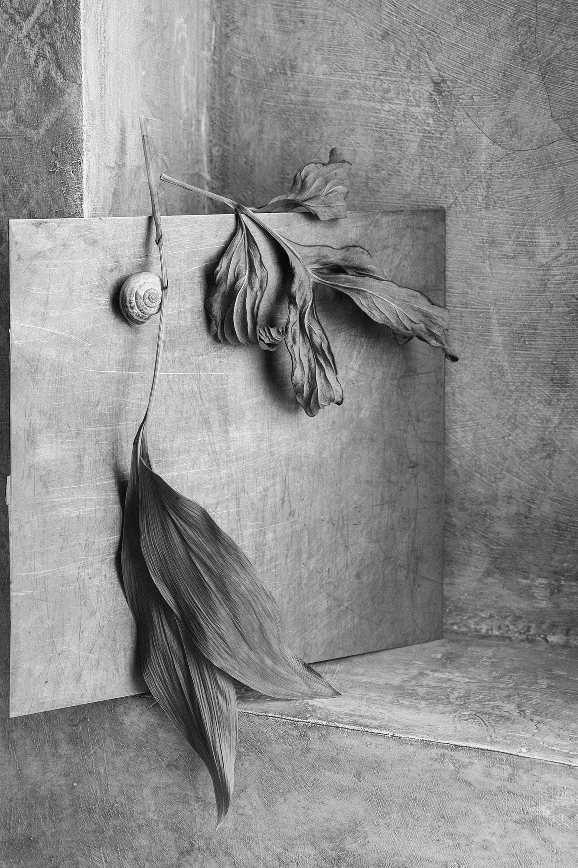 Интервью. Продолжение. Фотограф Елена Хазина, Рязань