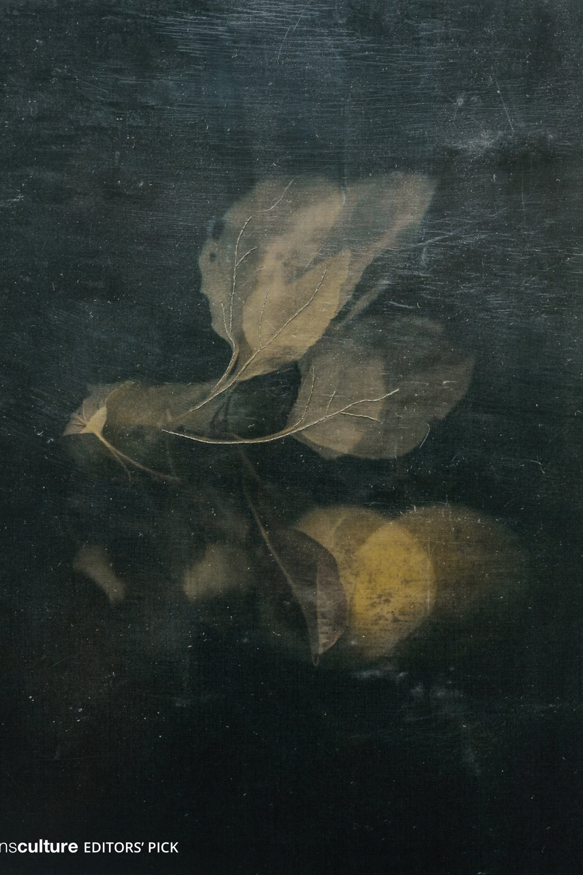 Интервью F-stop magazine. Фотограф Елена Хазина, Рязань