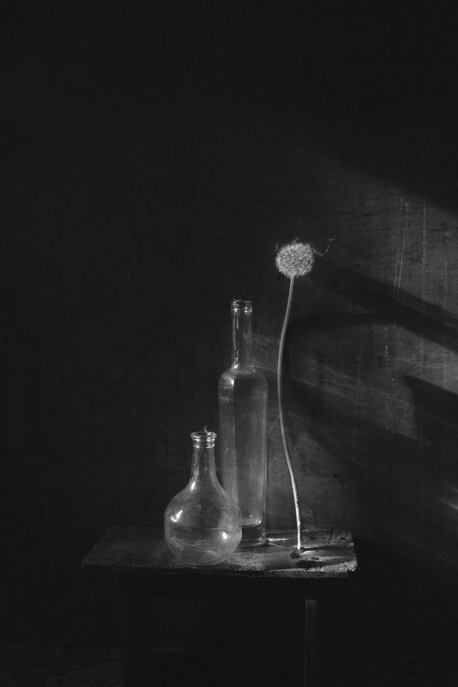 Выбор редакции АртКоко. Фотограф Елена Хазина, Рязань