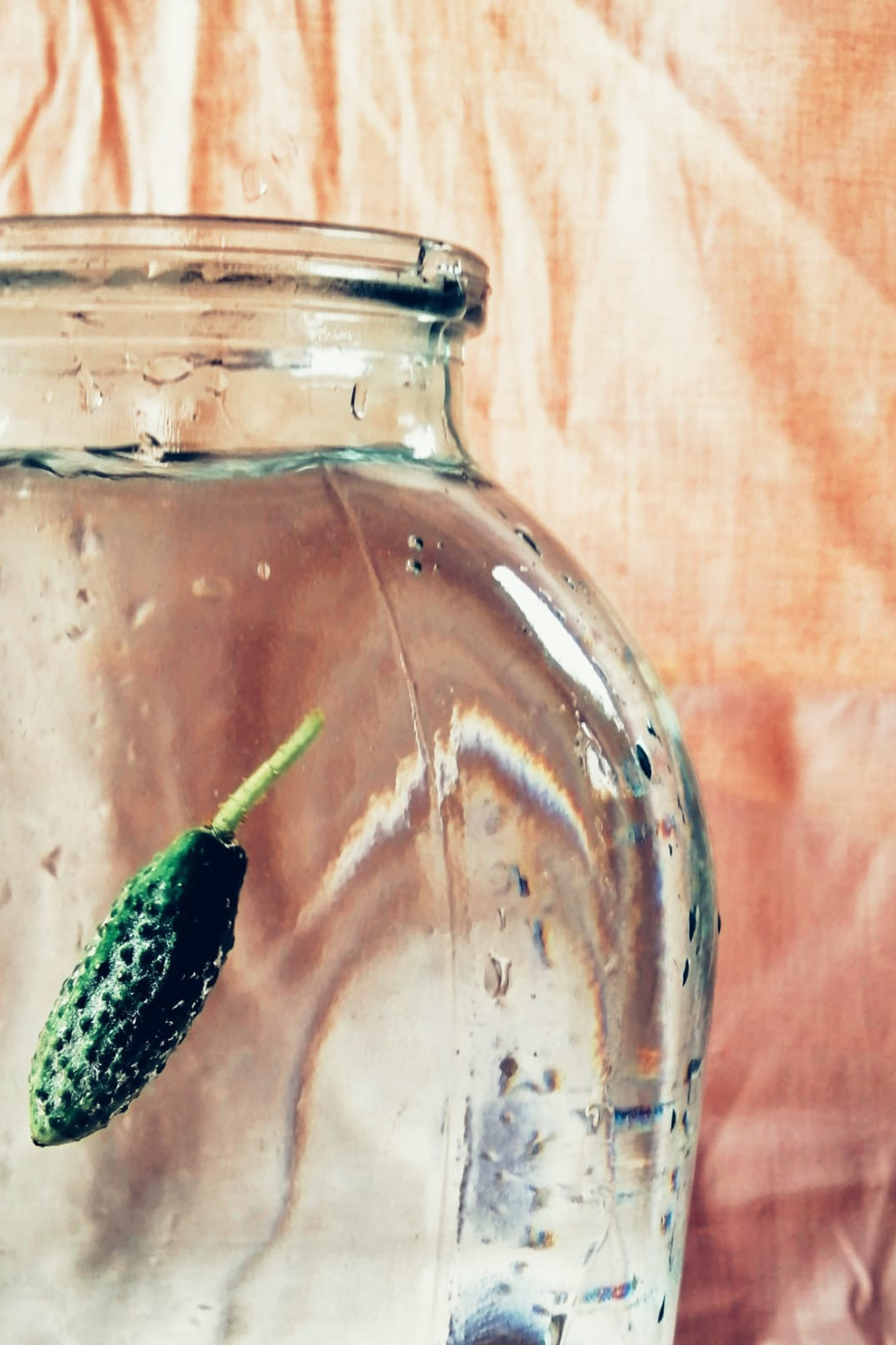 Огурцы. Екатерина Макарова Фотограф Москва