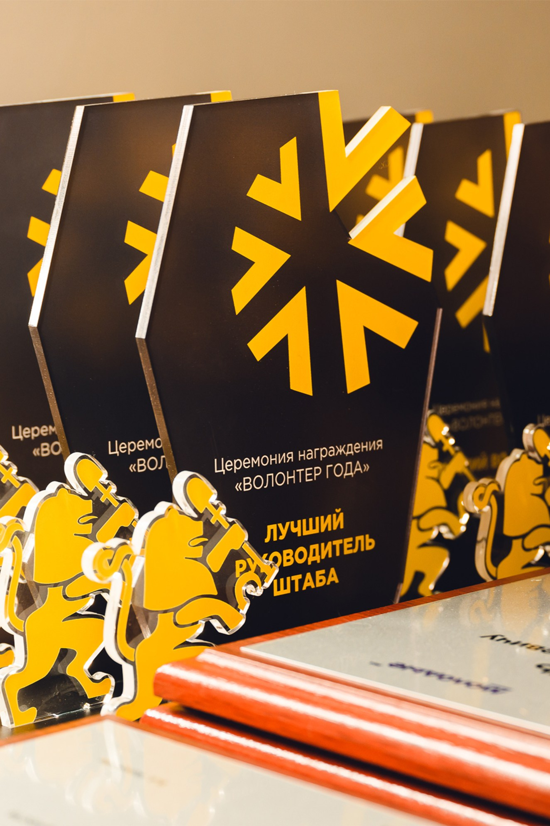 «Волонтёр года» от Красволонтёр