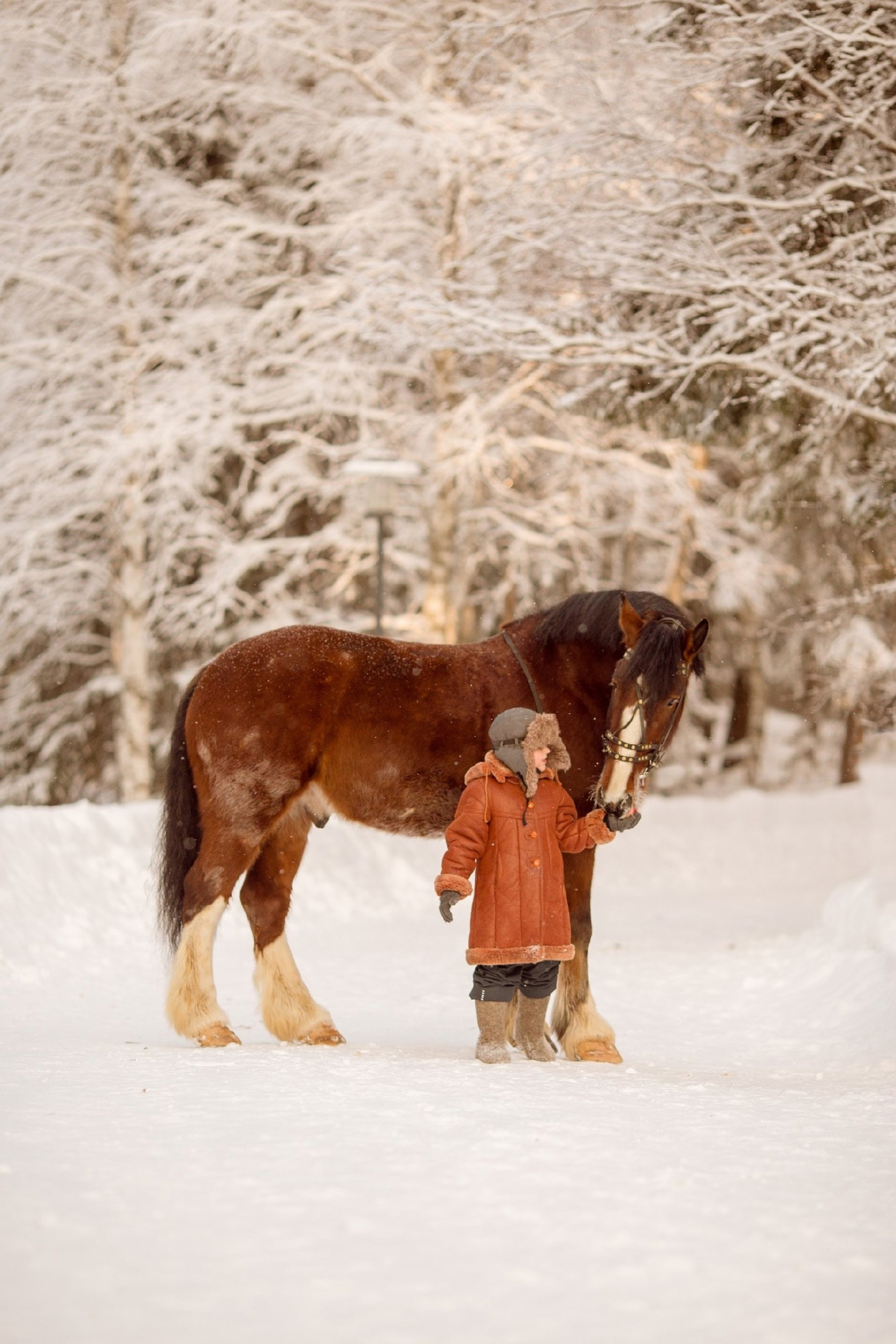Отзывы о фотосессии с лошадью