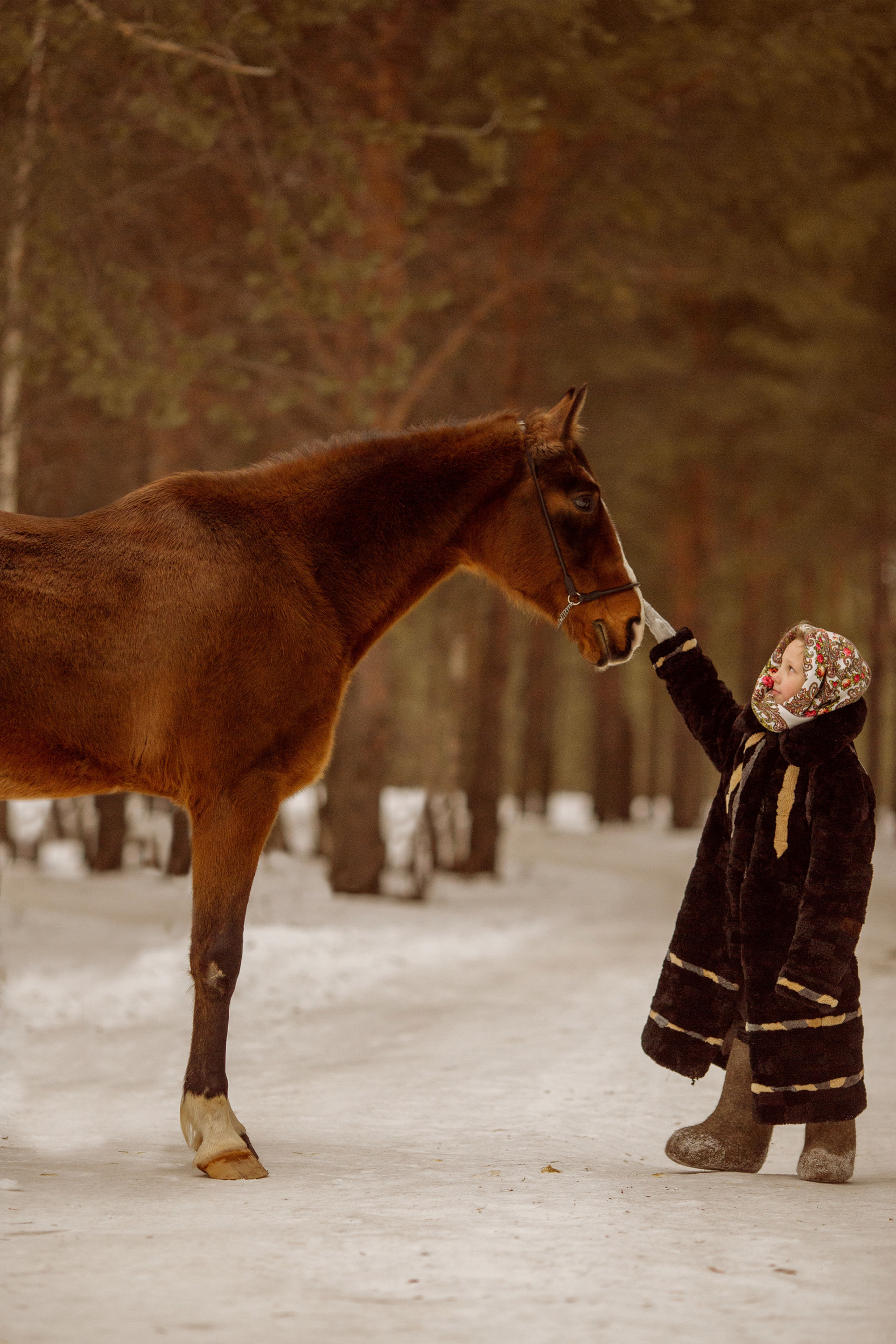 Отзывы о фотосессии с лошадью
