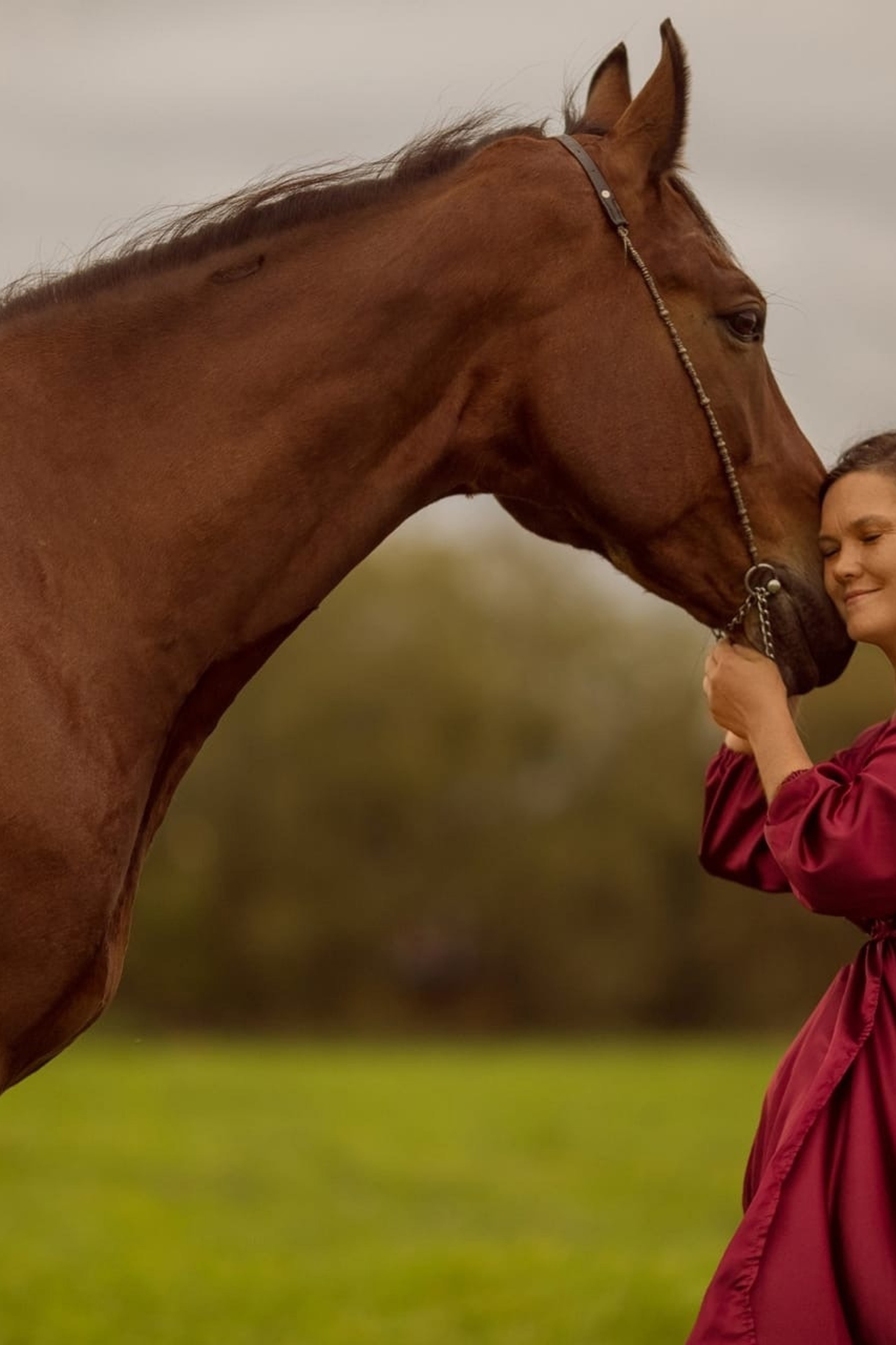 Отзывы о фотосессии с лошадью