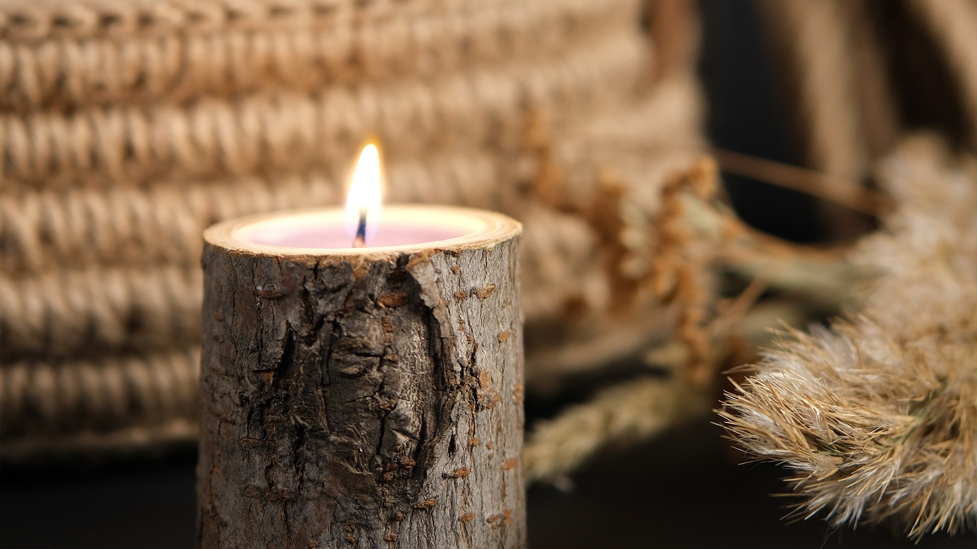 Реклама. Видеограф Новосибирск Сибирь Алтай. Илья Натворил