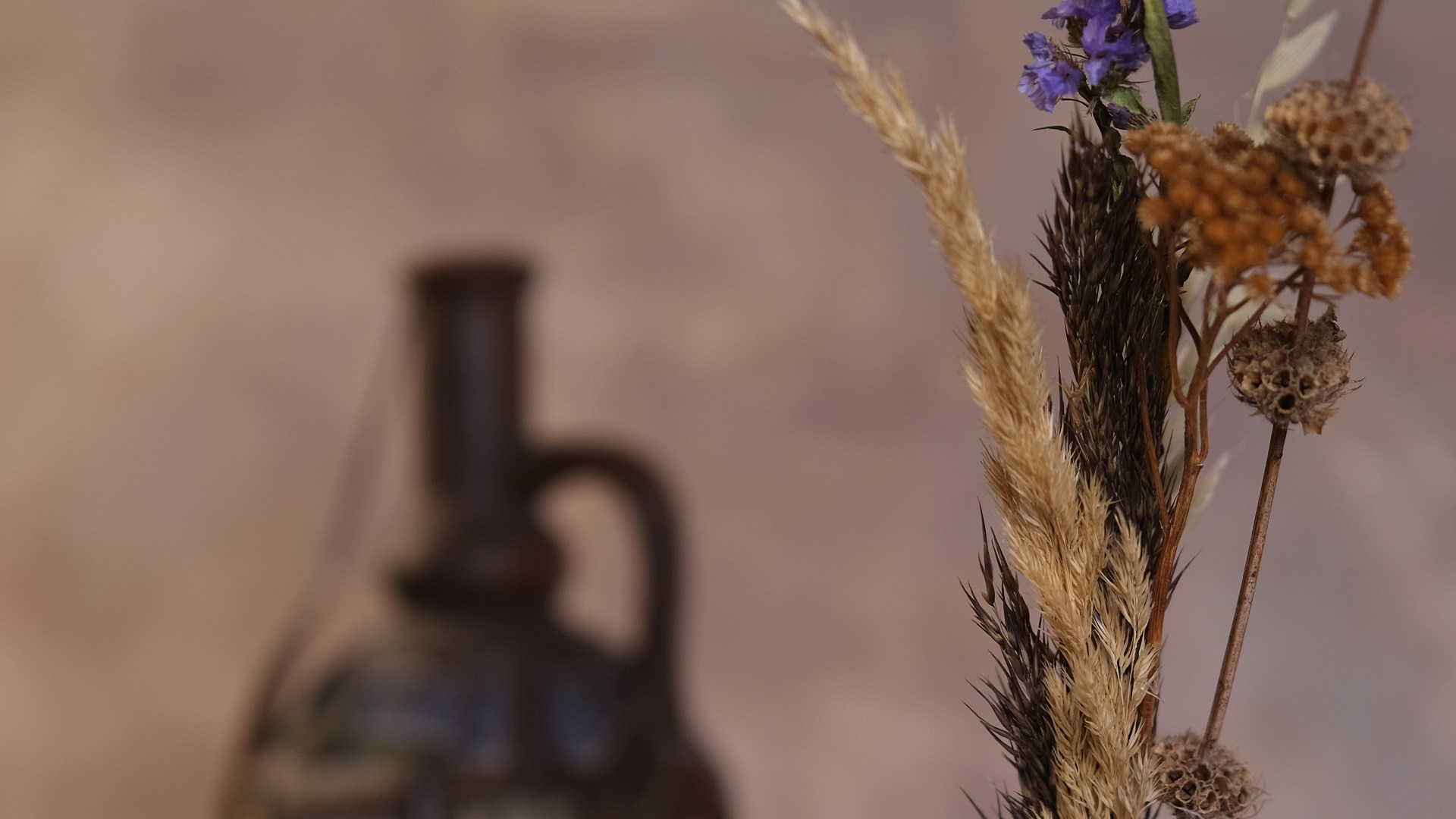 Реклама. Видеограф Новосибирск Сибирь Алтай. Илья Натворил