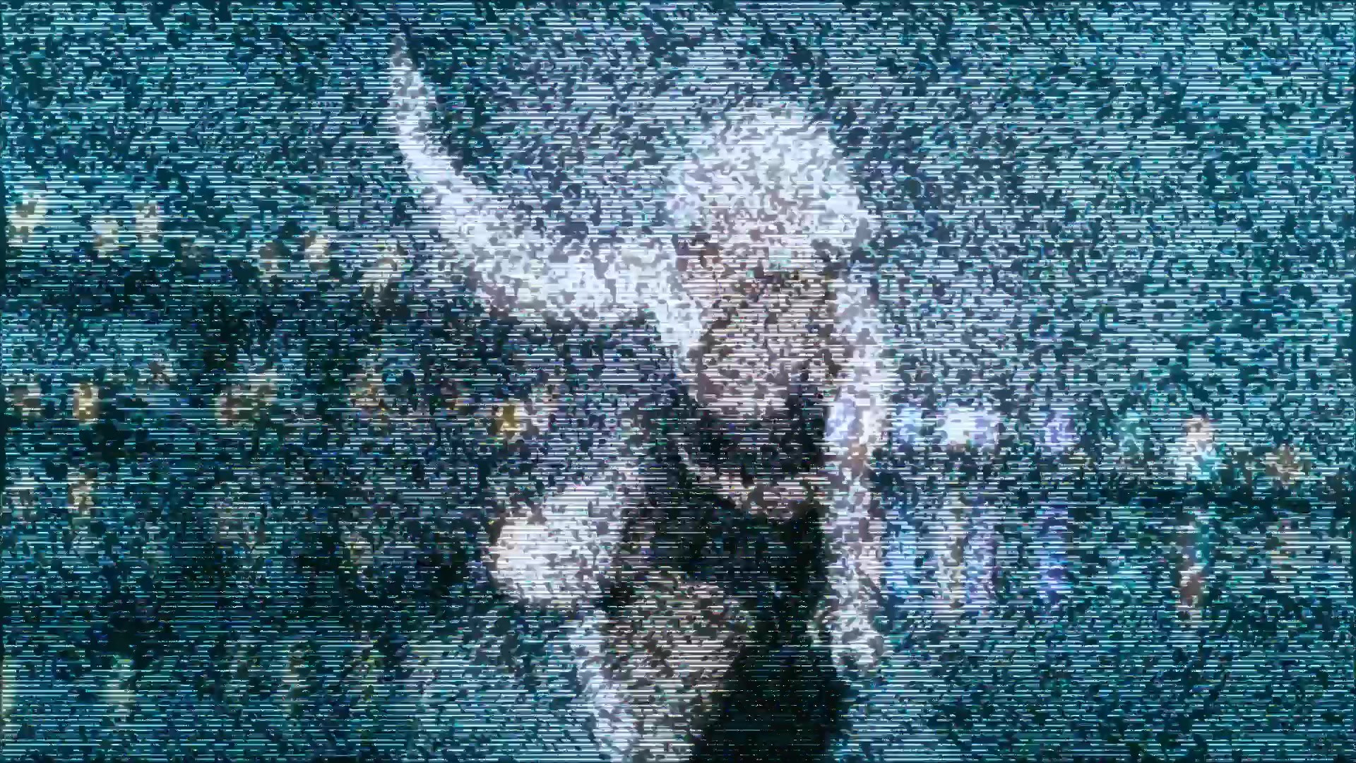 Видео. Фотограф из СПб