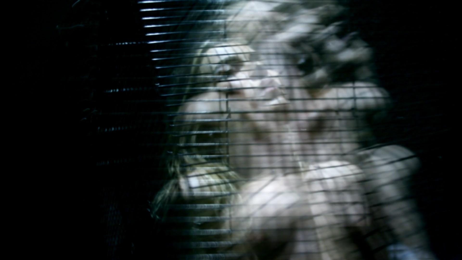 Video. Янина болдырева Yanina Boldyreva