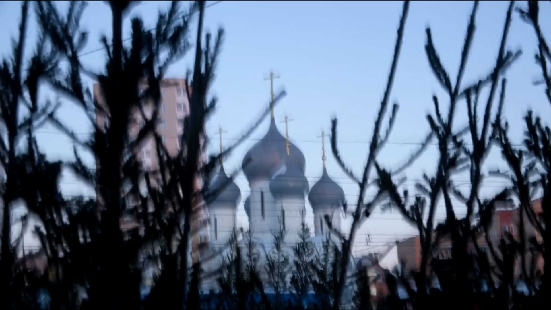 Video. Янина болдырева Yanina Boldyreva