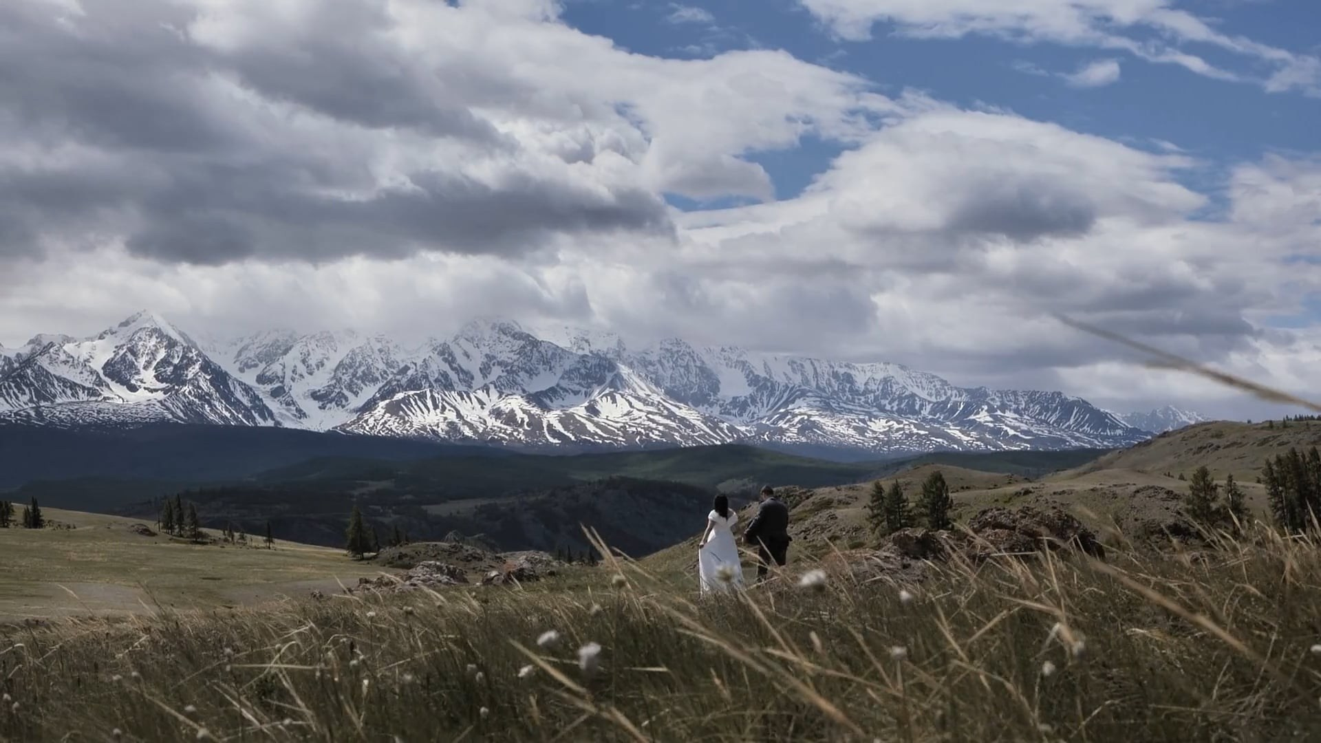 Свадьбы. Свадебная  съемка на Алтае