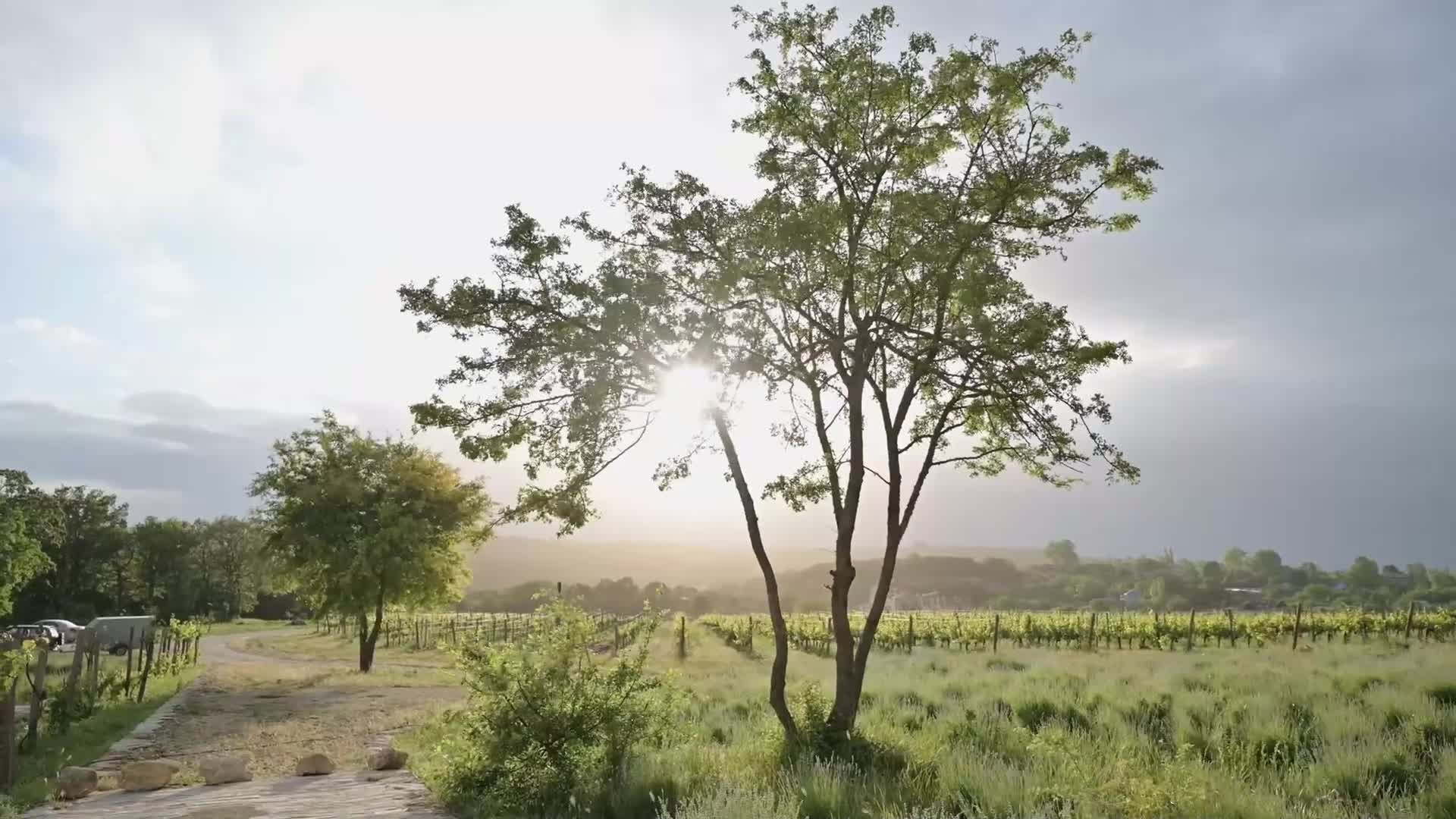 Фильмы. Видеосъёмка в Краснодаре