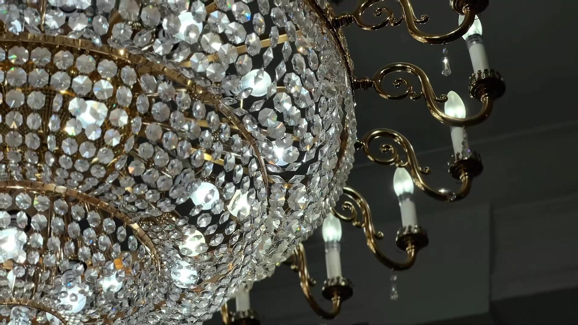 Личные и корпоративные бренды. Мобильный видеограф Анна Алхимова