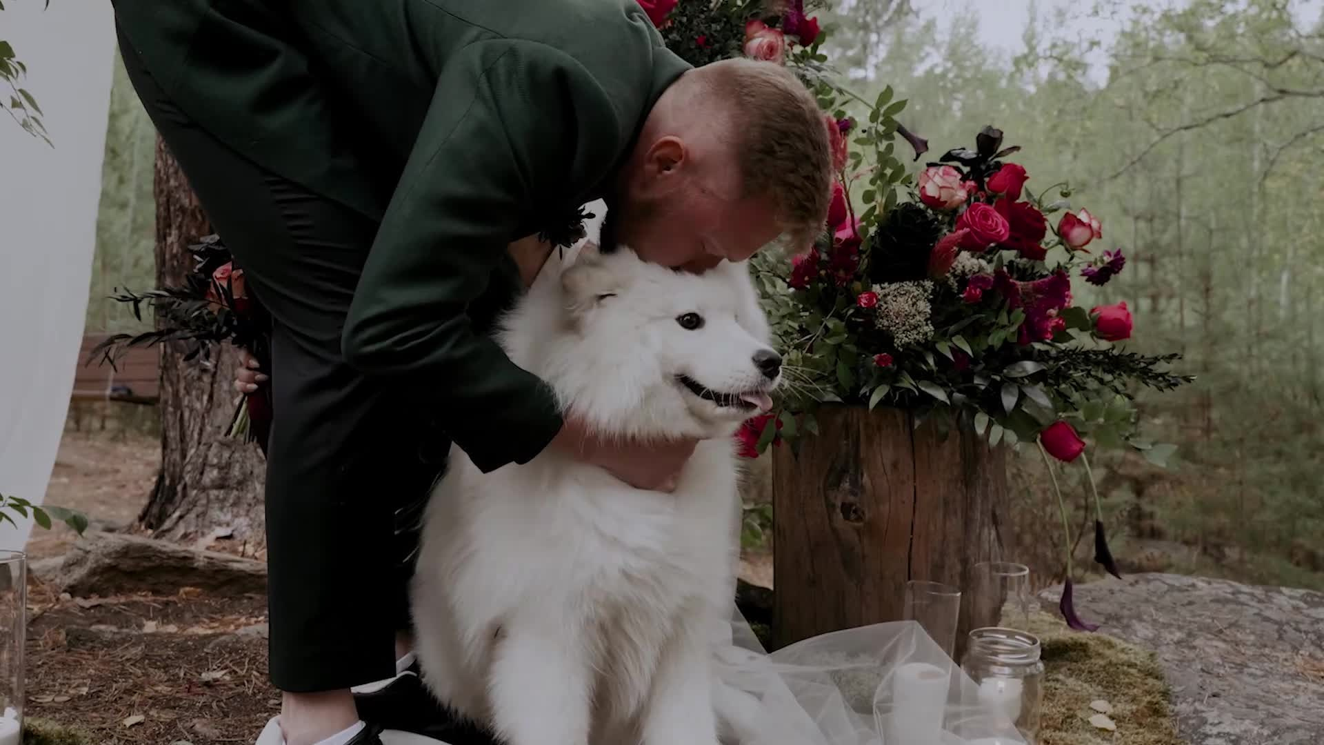 Свадебные. Свадебный видеограф в Екатеринбурге Алексей Надеин