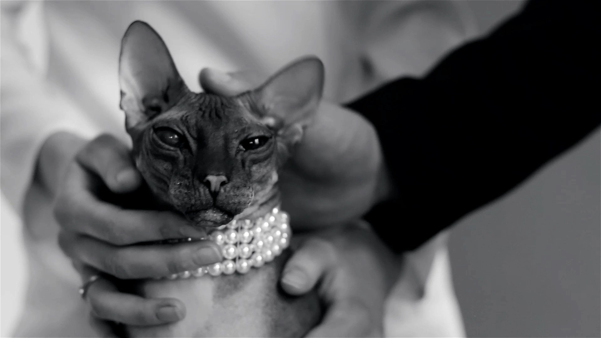 Истории любви. Видеограф Евгения Климова Джейн Джек видео Екатеринбург