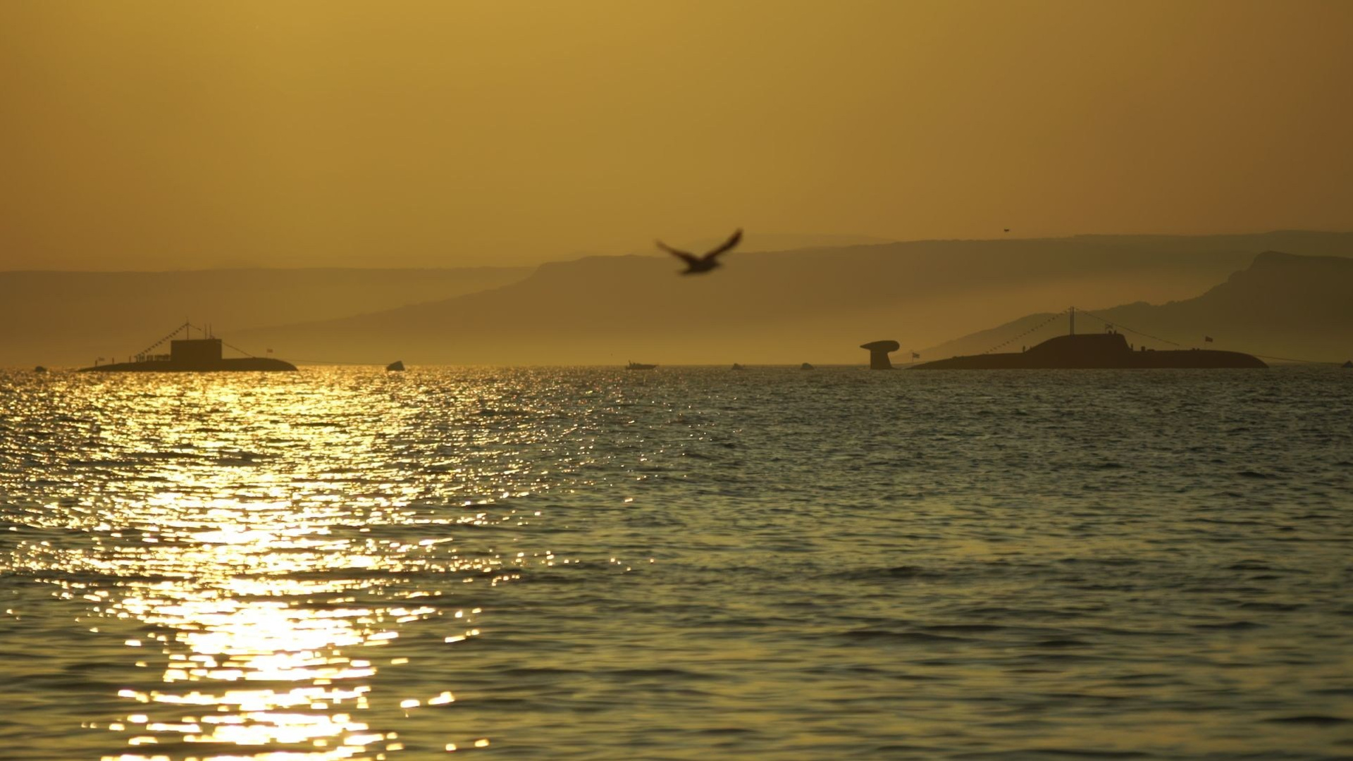 Корпоративное кино. Дмитрий Костяев. Авторское документальное кино