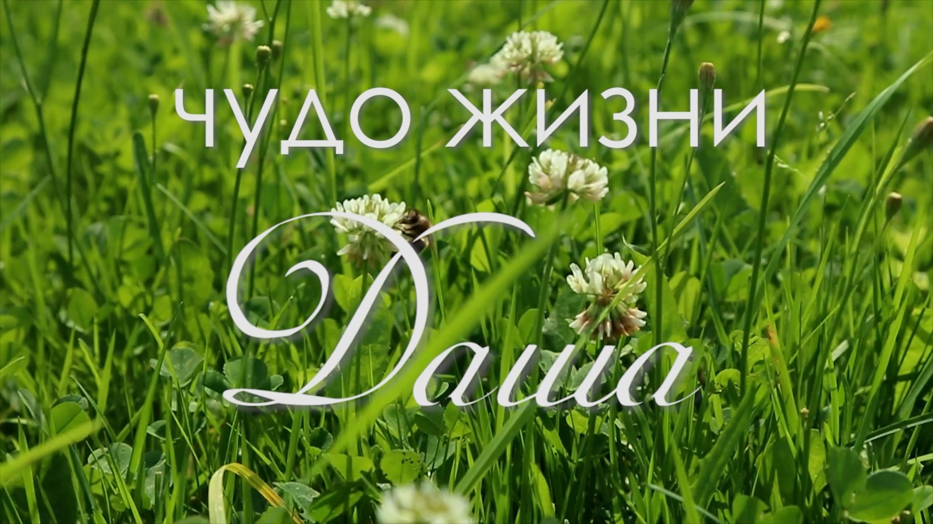 Видео детства. Фотограф-видеограф в Москве Анна Калинцева