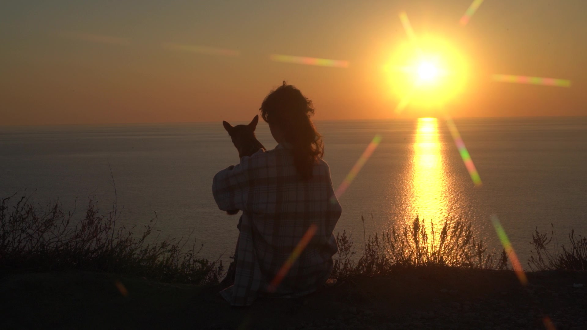 Видеосъемка. Фотограф — видеограф Светлана Левина