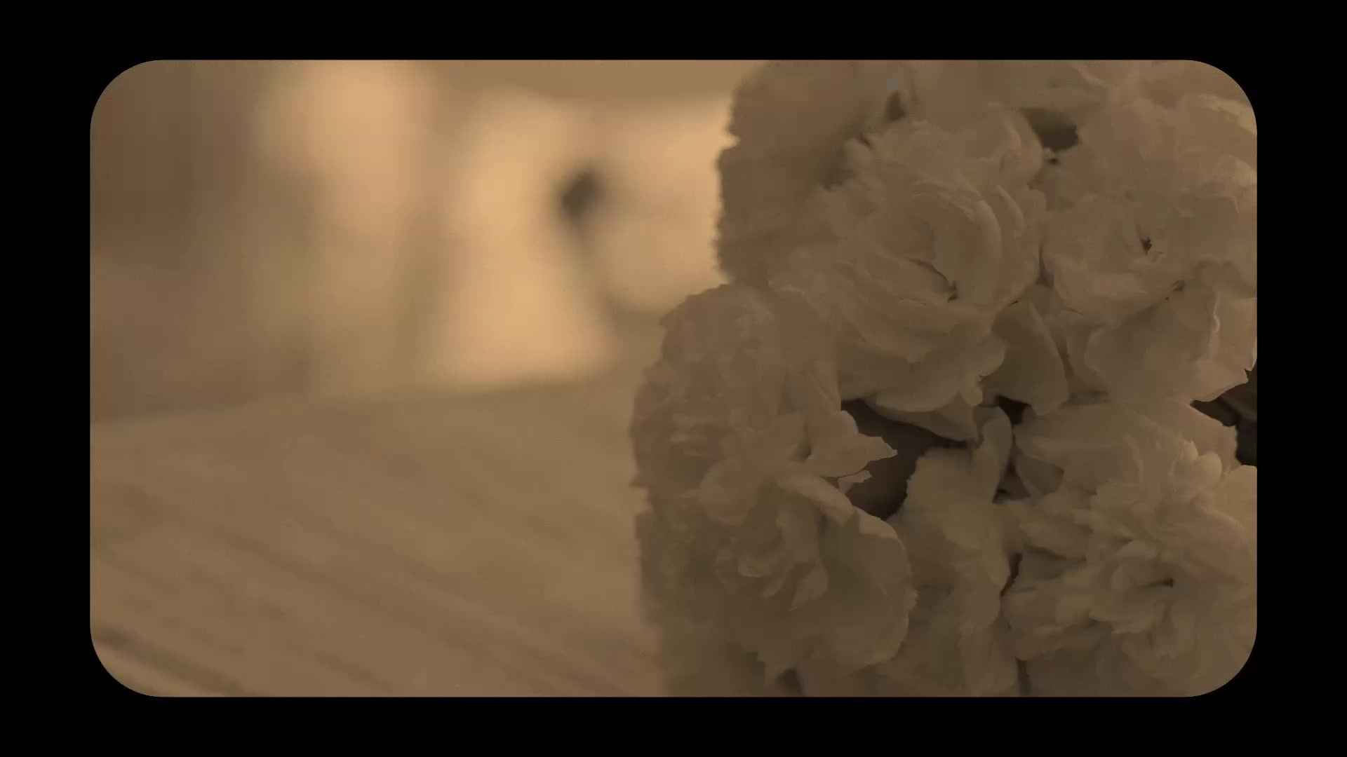 Clip/Film. EGOROV PRODUCTION